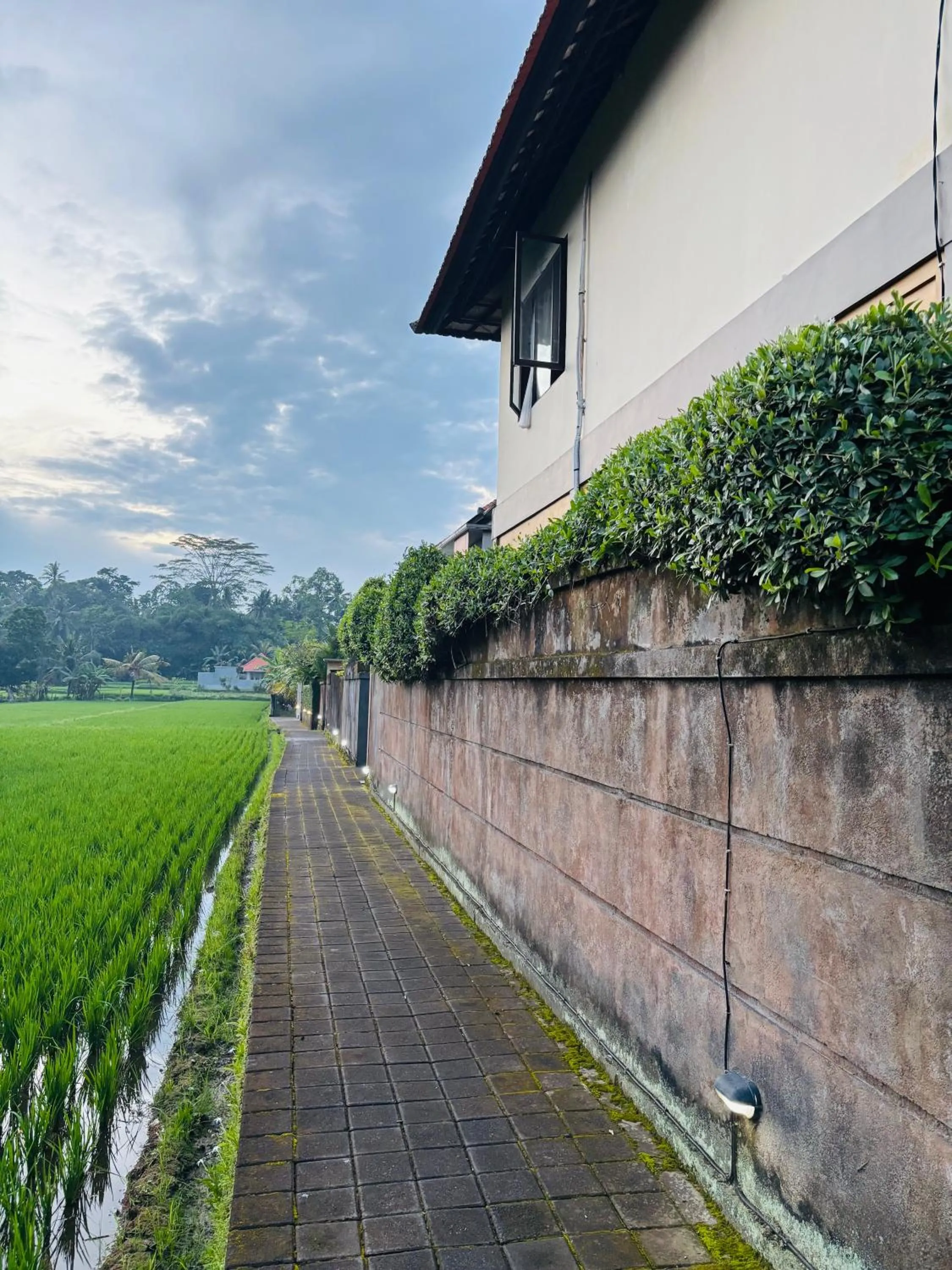 Natural landscape in Uma Padi Villa