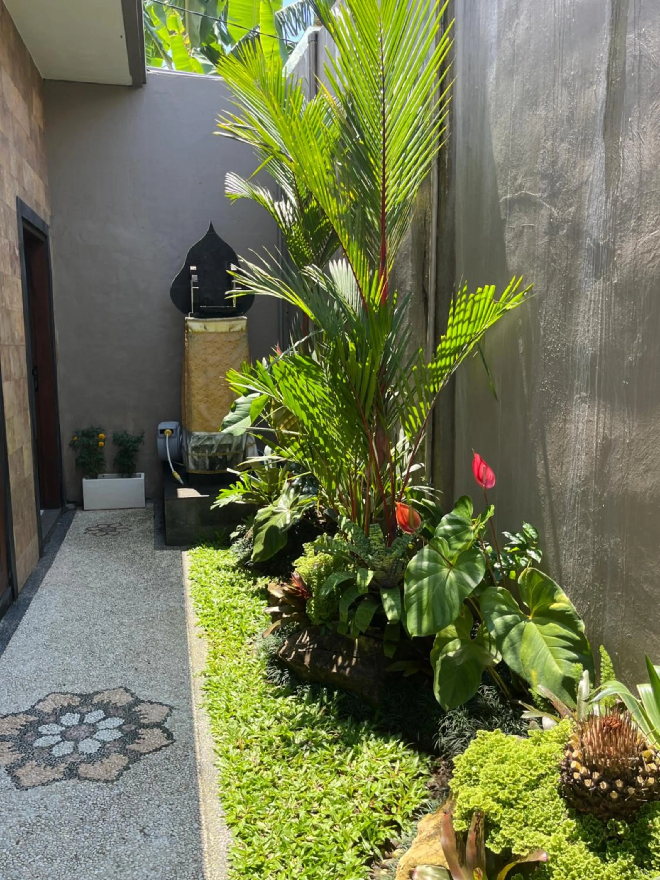 Garden in Uma Padi Villa