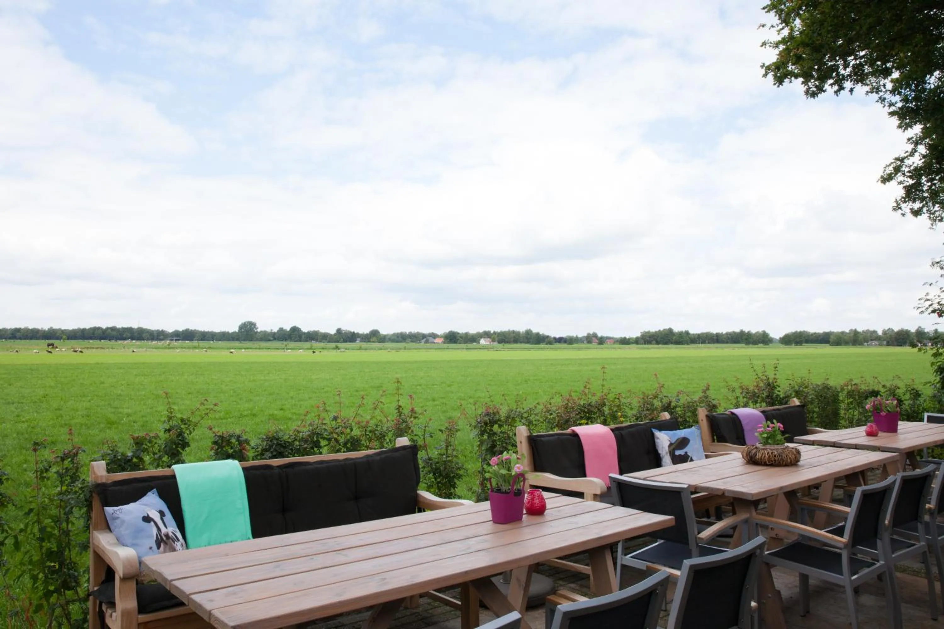 View (from property/room) in De Johanneshoeve