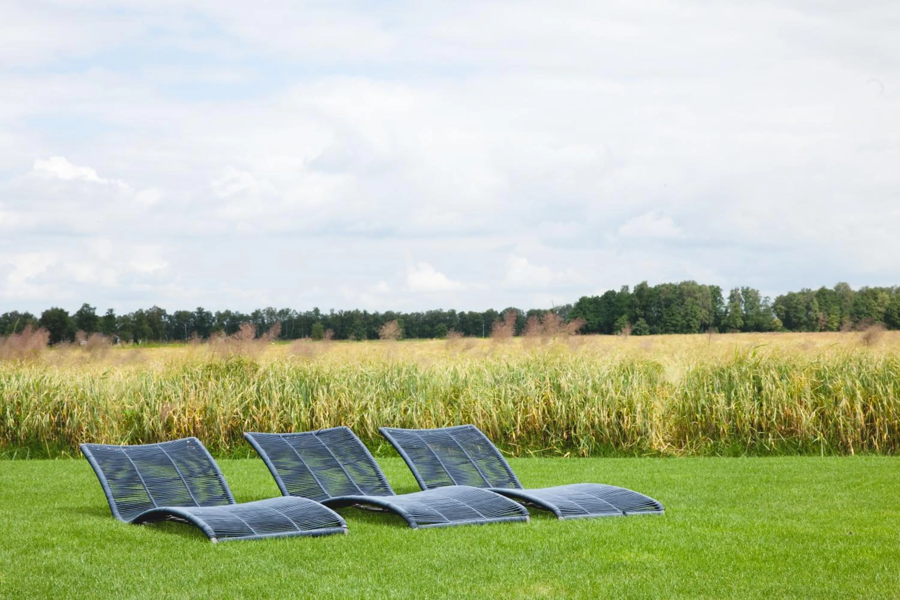 Natural landscape in De Johanneshoeve