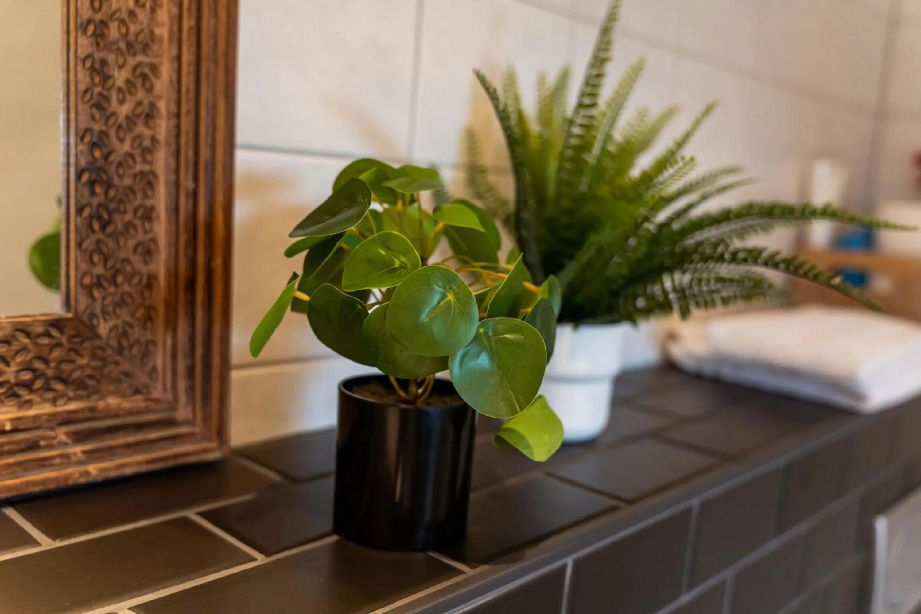 Bathroom in De Johanneshoeve