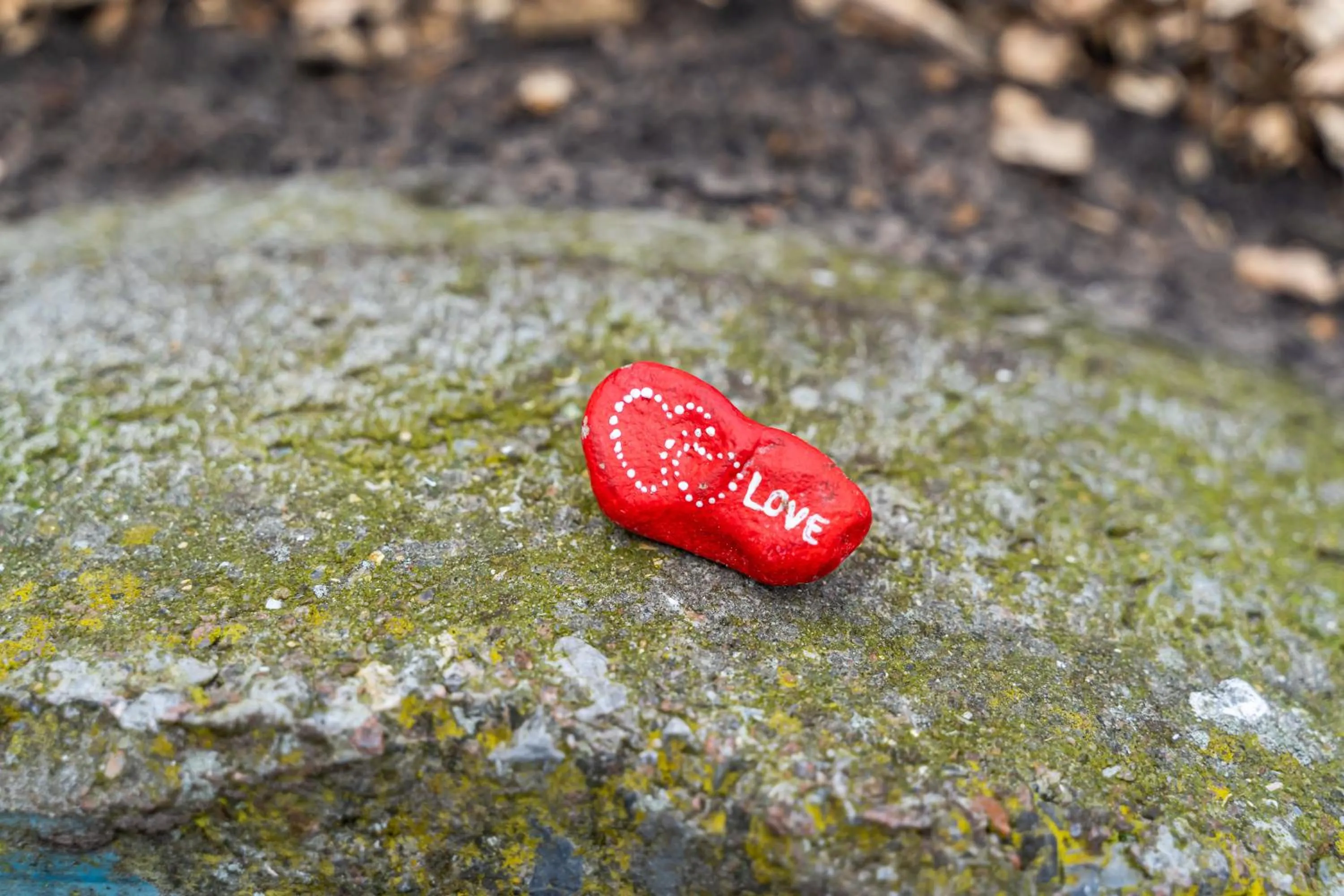 Children play ground in De Johanneshoeve