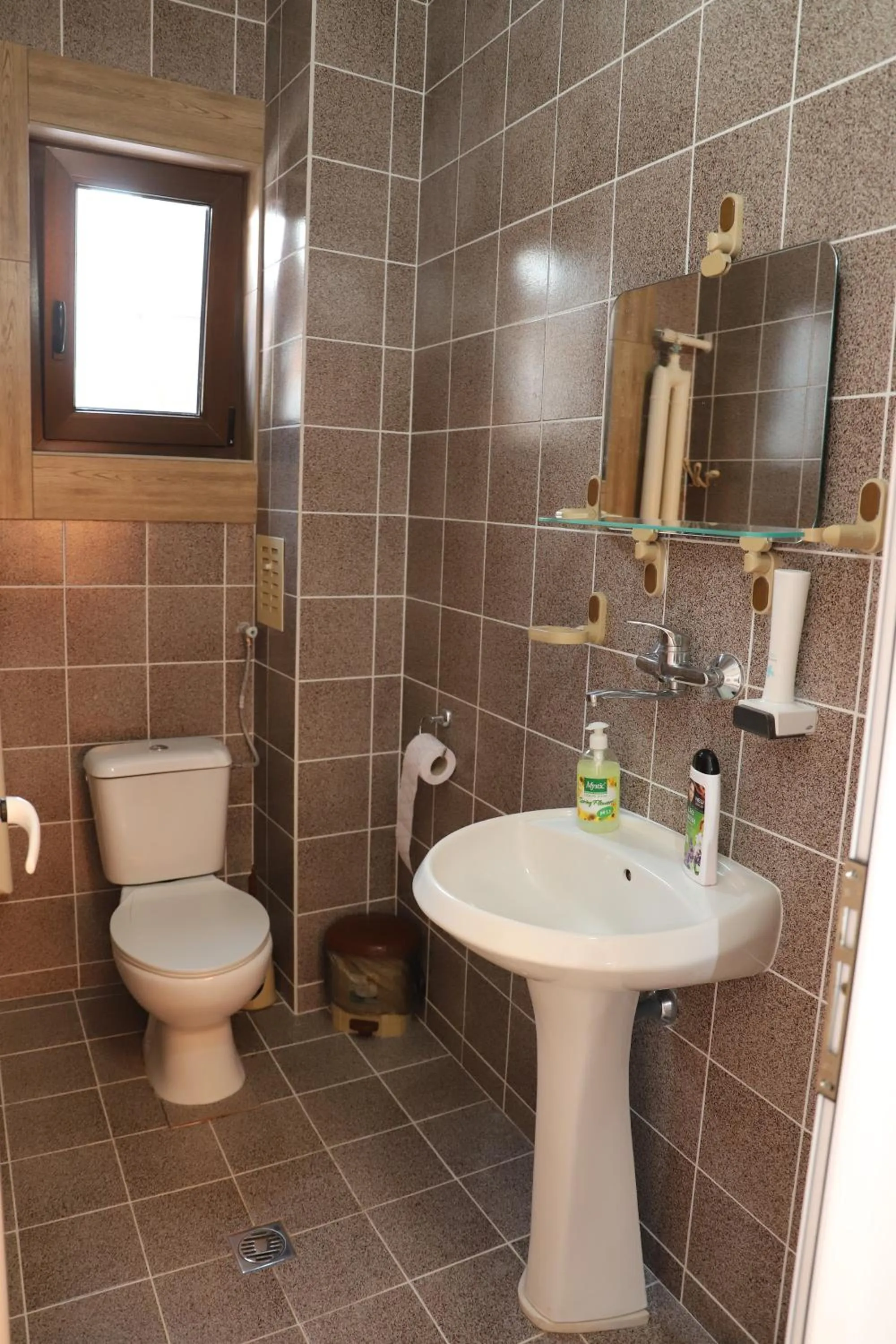 Shower in Hotel Mishel