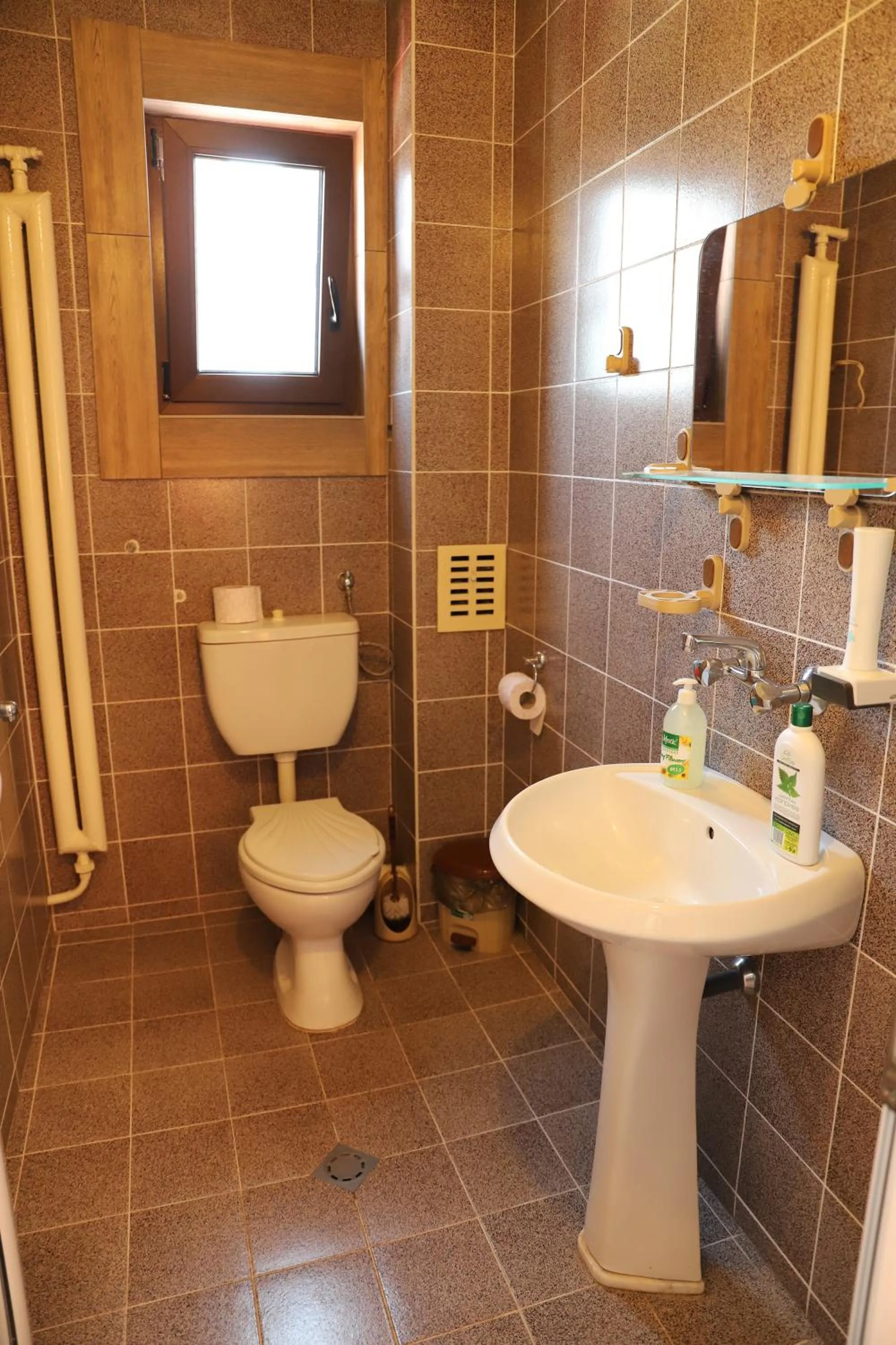 Shower in Hotel Mishel