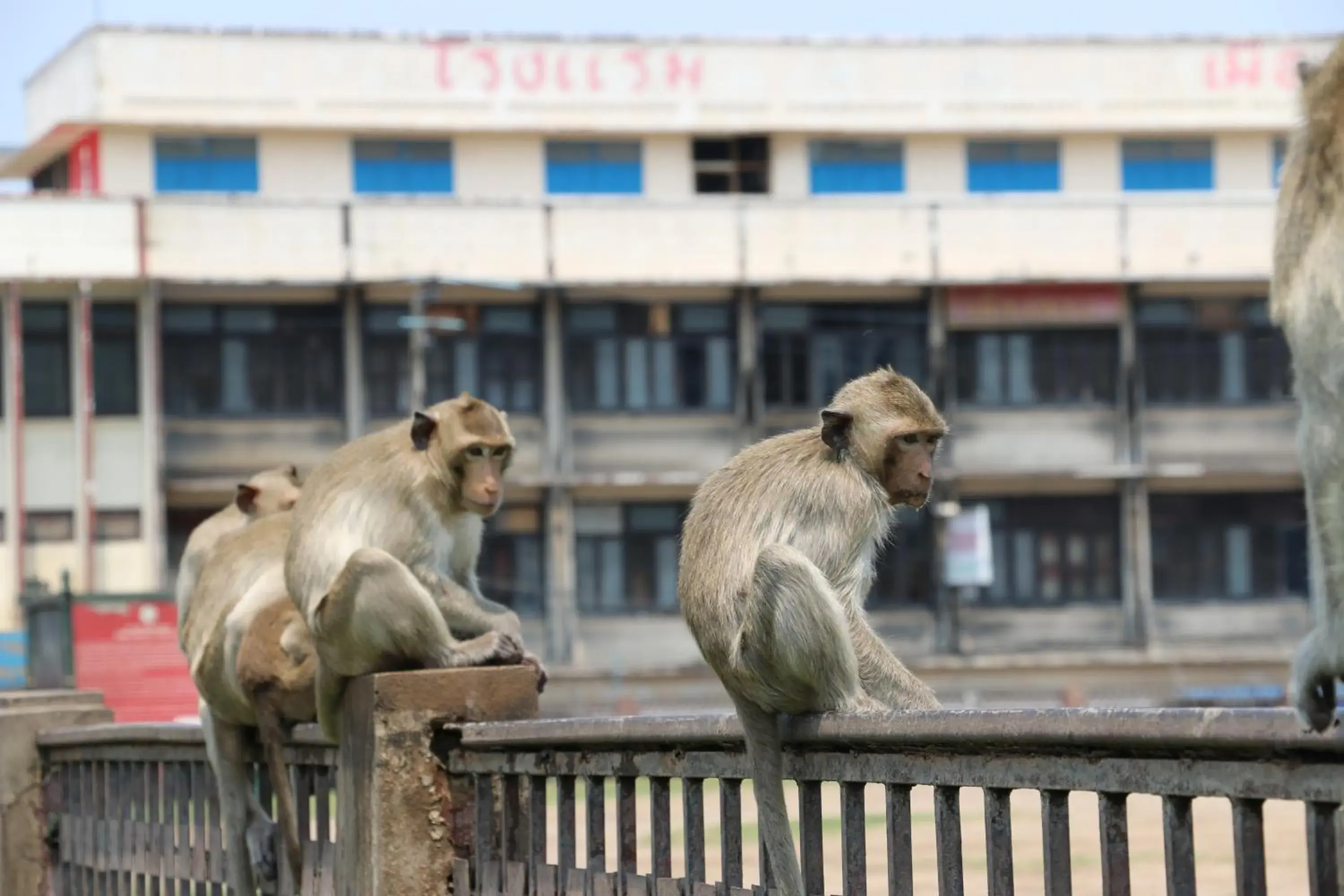 Landmark view in Nett Hotel Landmark view in Nett Hotel