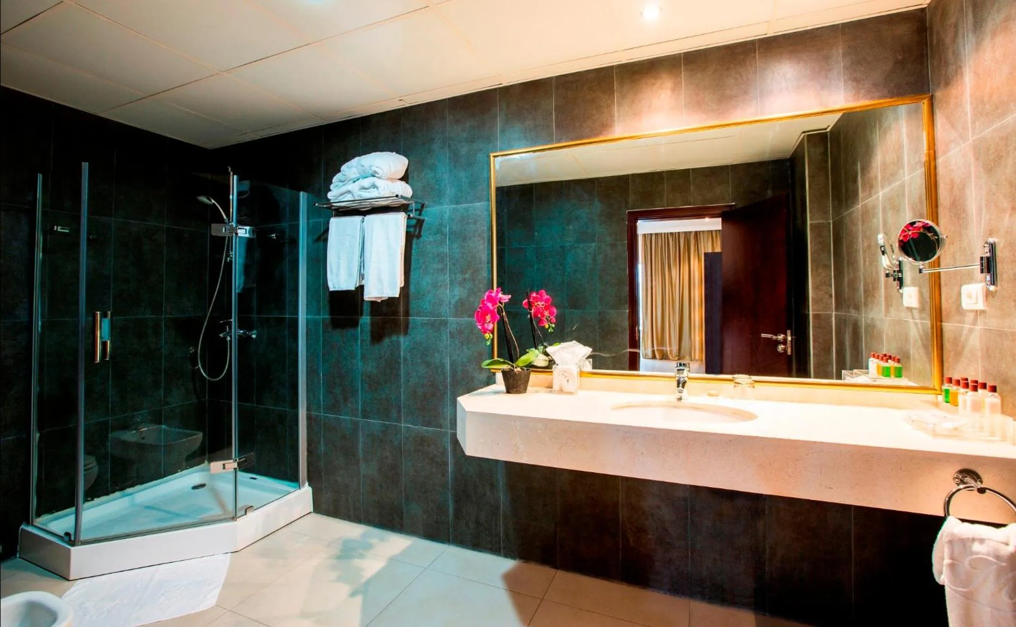 Shower in Mikhael's Hotel