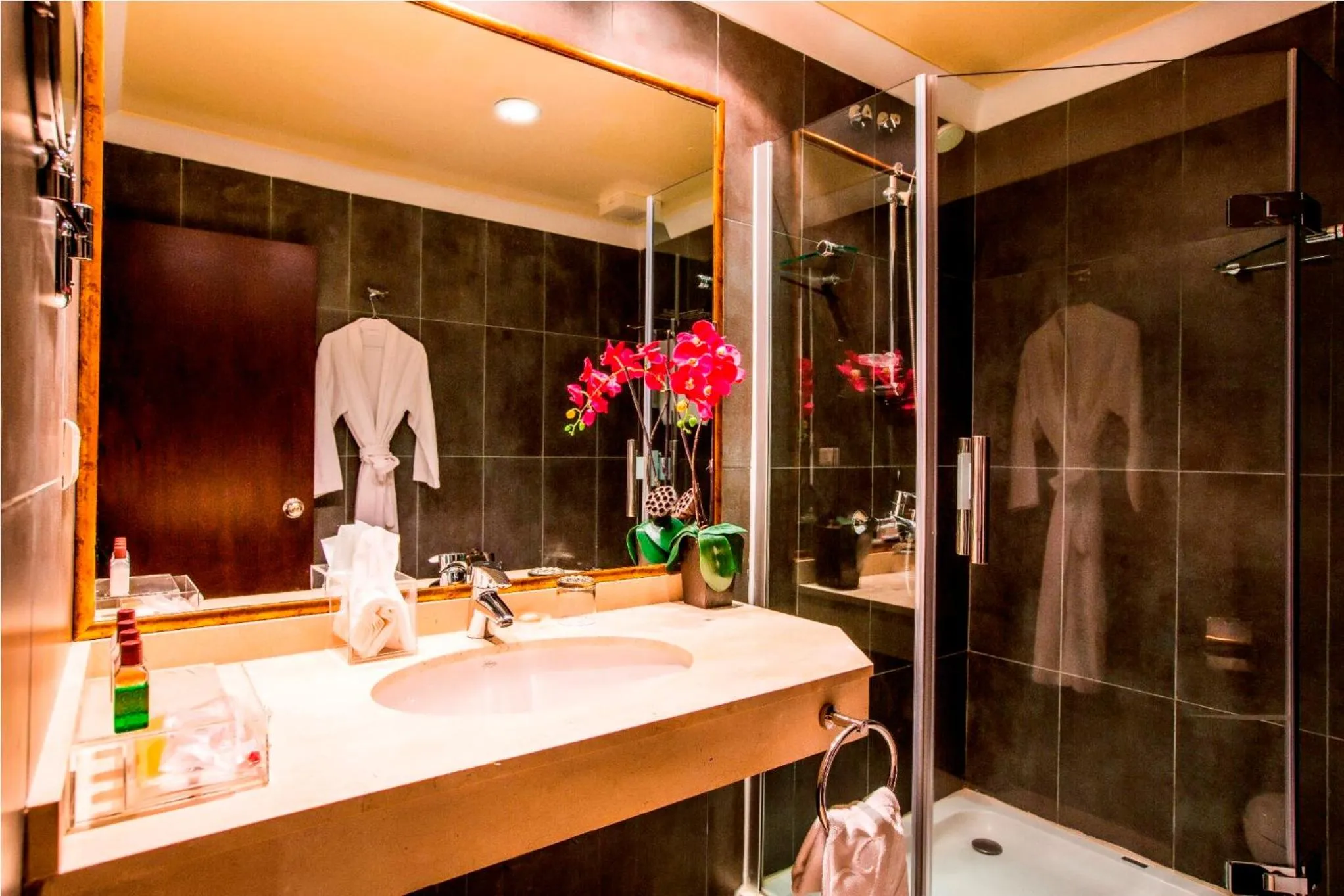 Shower in Mikhael's Hotel