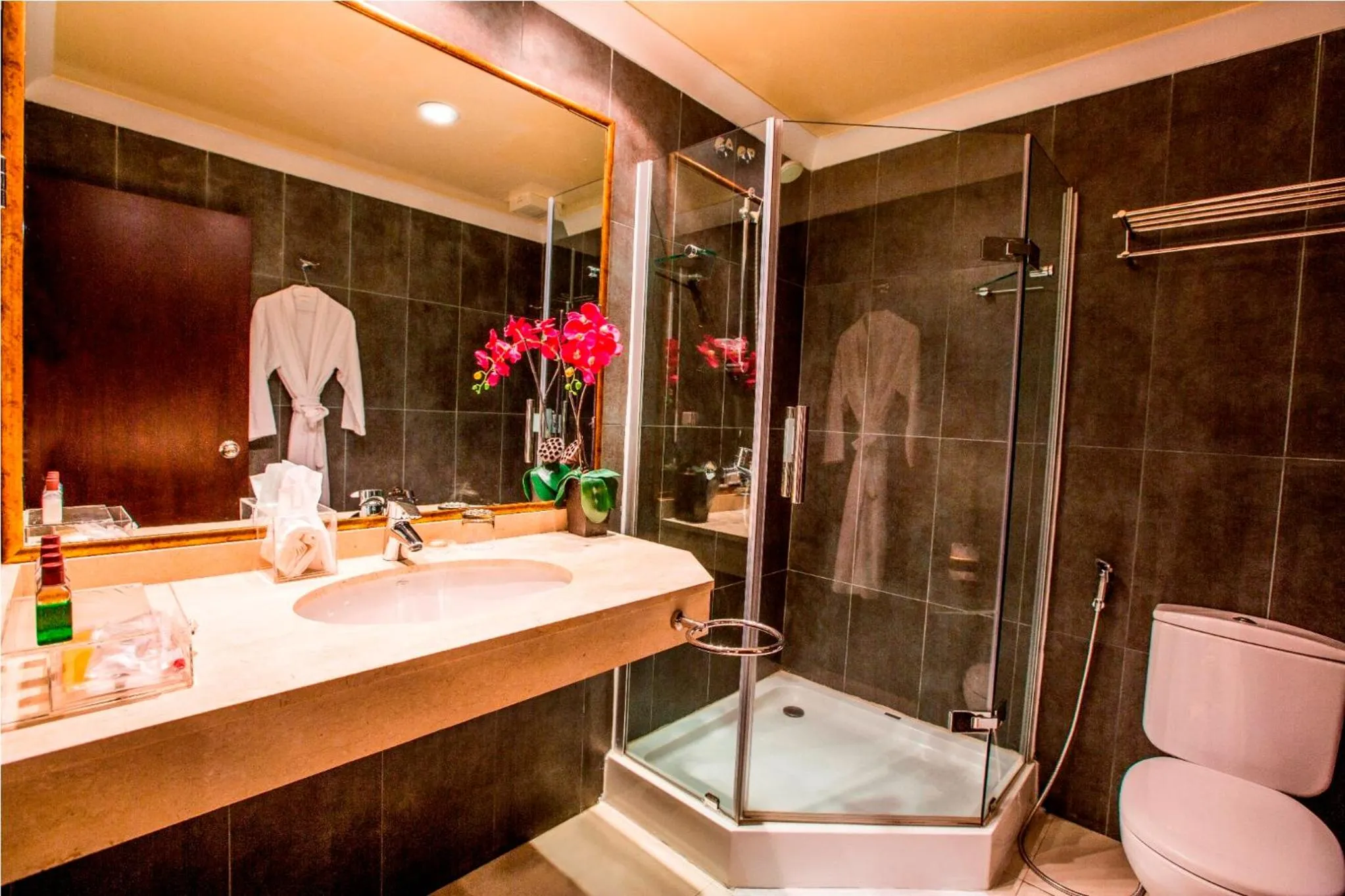 Shower in Mikhael's Hotel