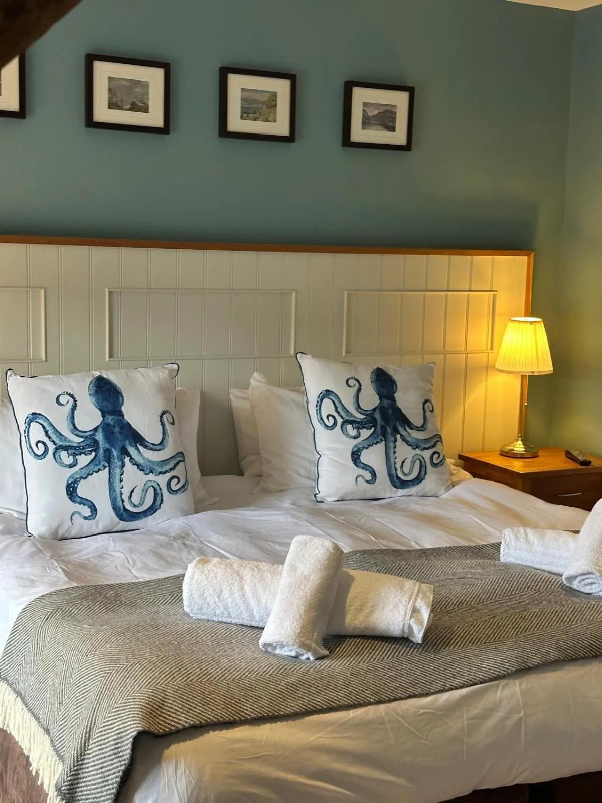 Deluxe Double or Twin Room in Y Meirionnydd Boutique Hotel