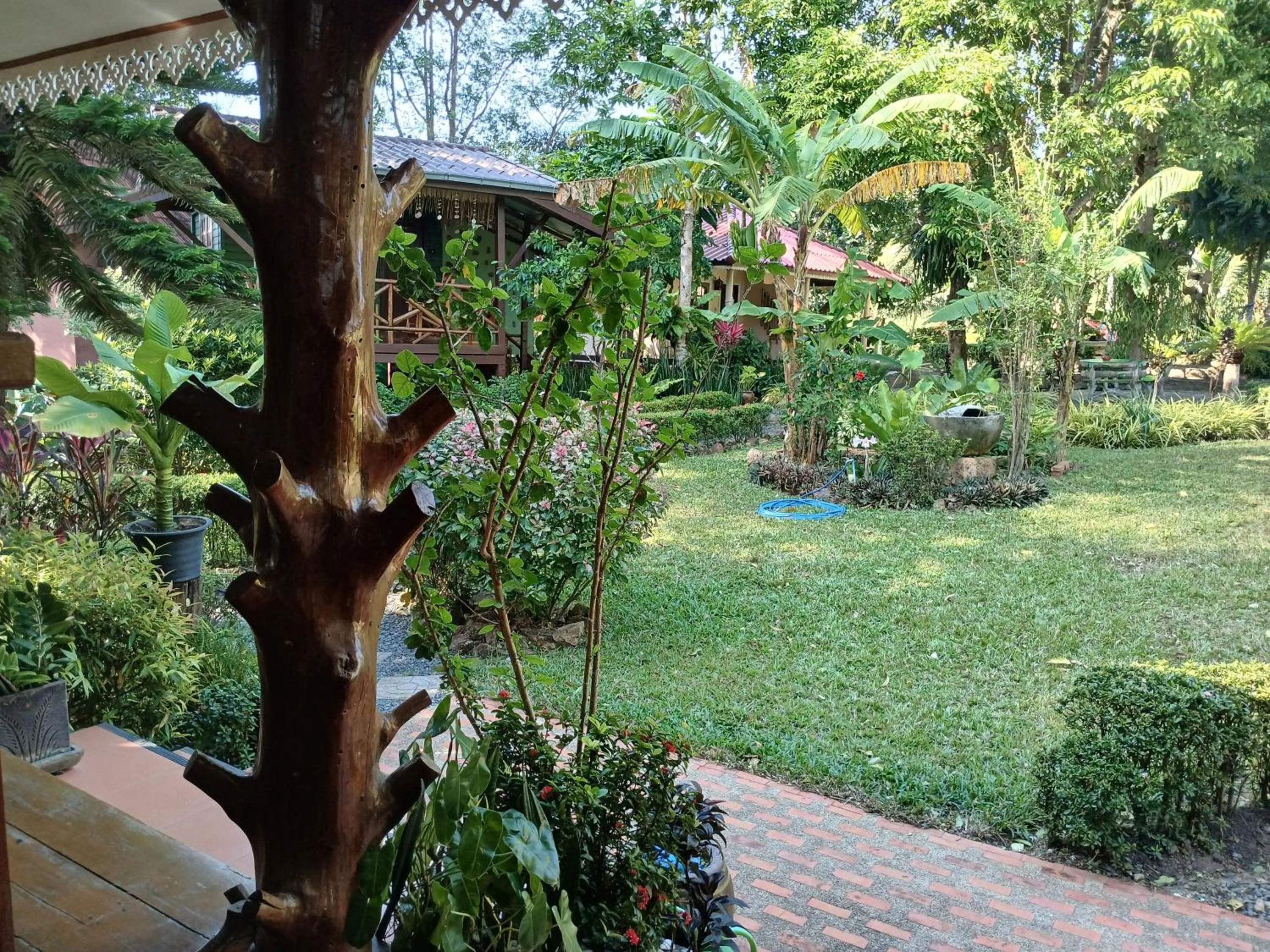 View (from property/room) in Macura Resort