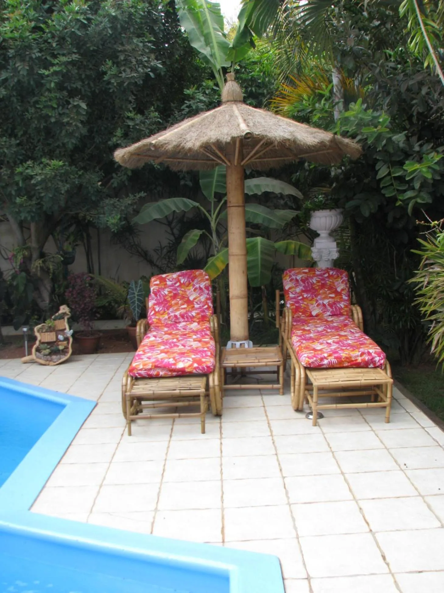 Garden in Avamada Lodge