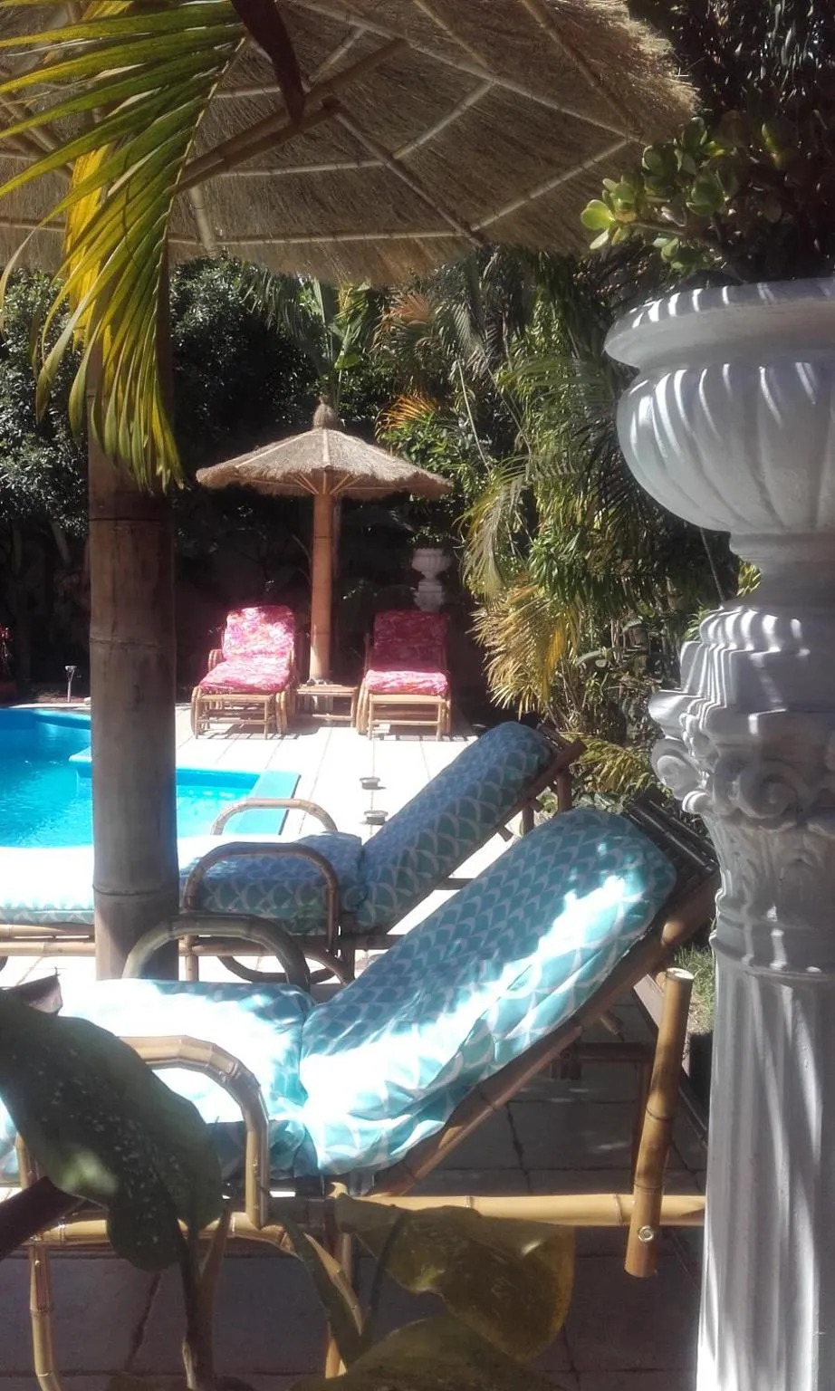 Swimming pool in Avamada Lodge