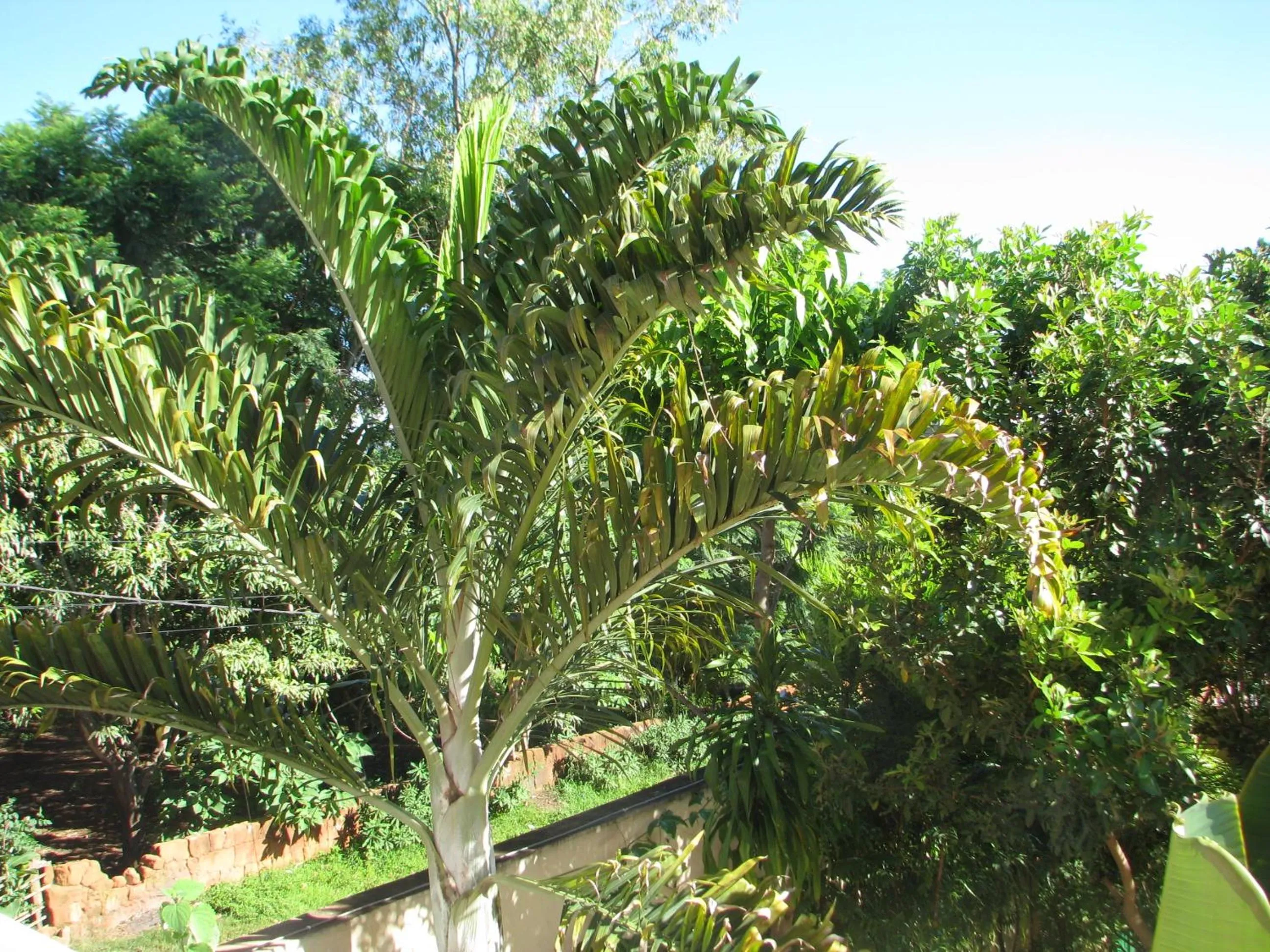 Property building in Avamada Lodge