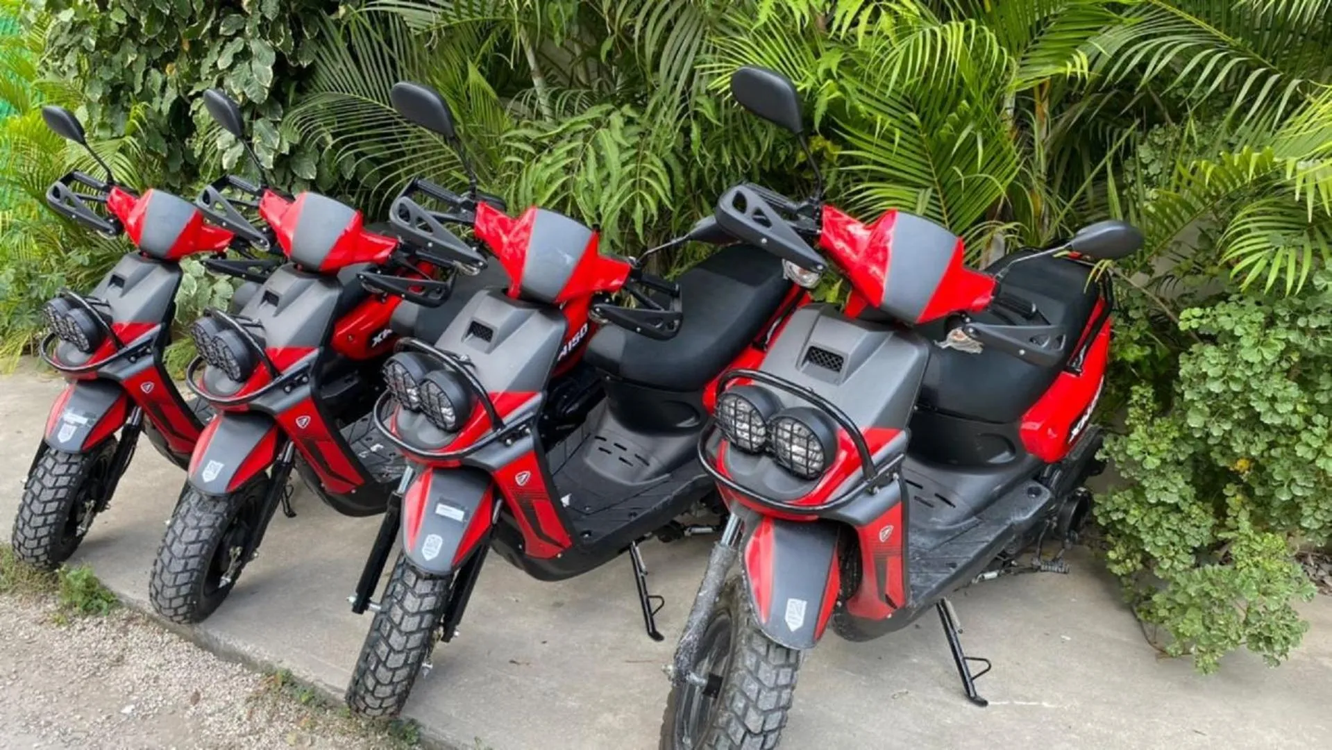 Activities in Che Tulum Hostel & Bar Adults Only