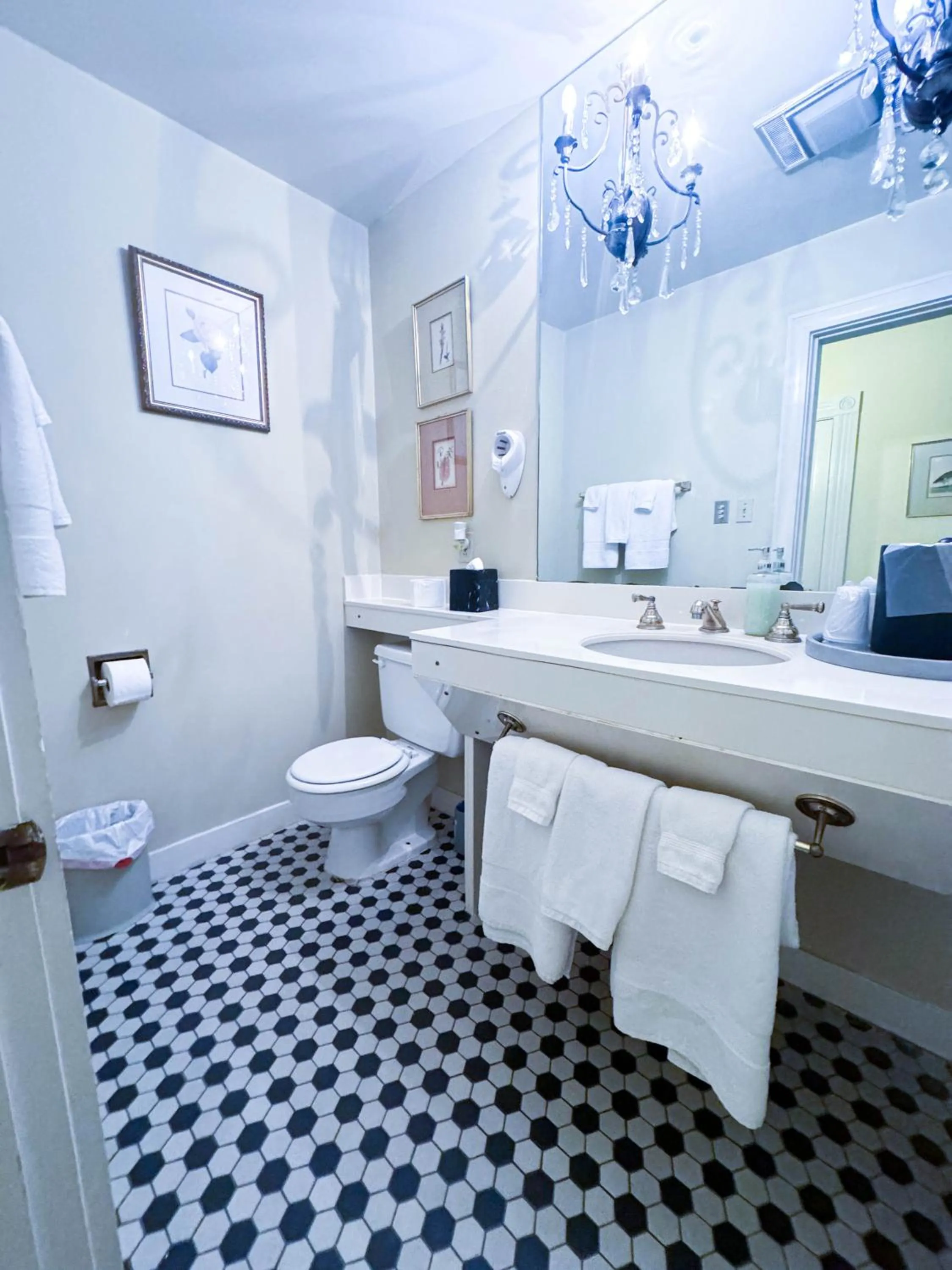 Bathroom in The Guest House Historic Mansion