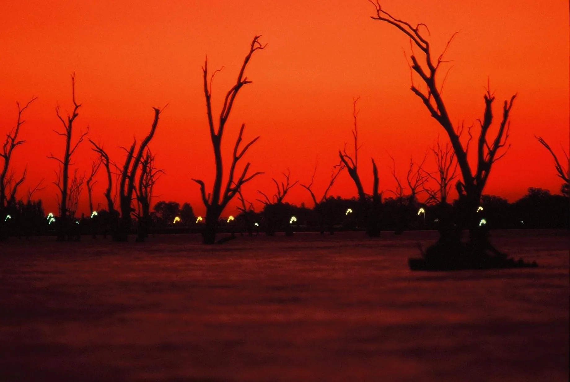 Natural landscape in The Yarrawonga Hotel