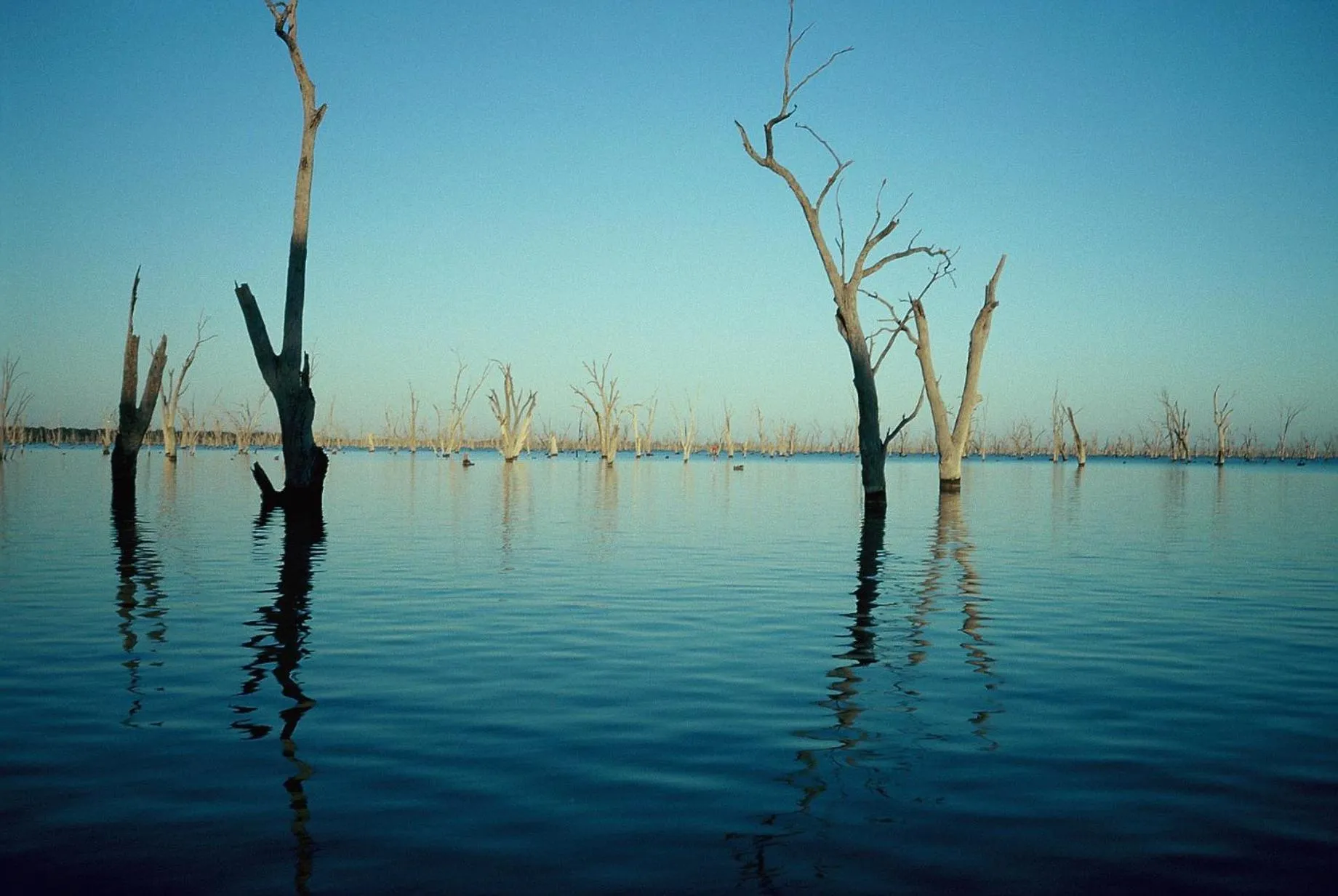 Natural landscape in The Yarrawonga Hotel
