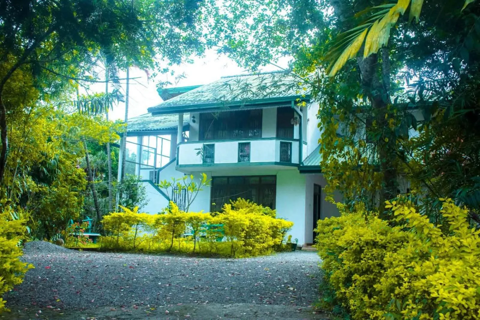 Blue Mountain Resort Bandarawela