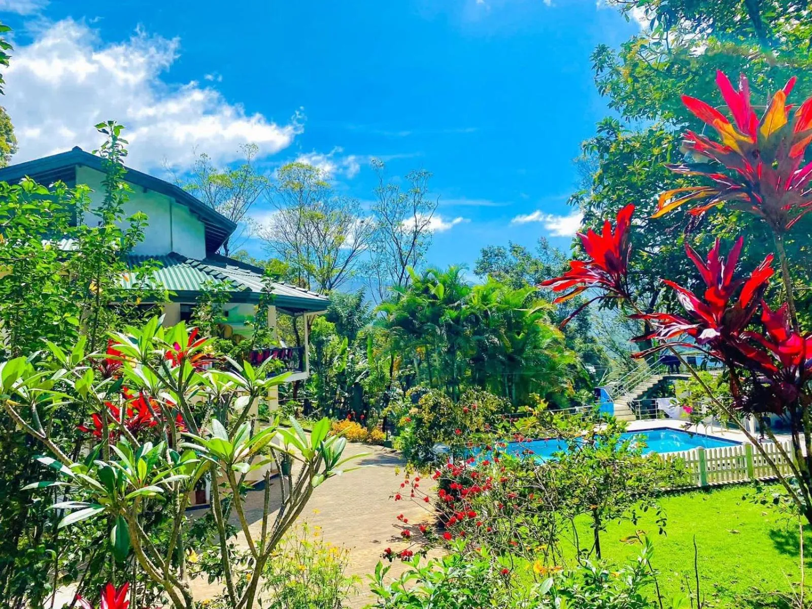 Blue Mountain Resort Bandarawela