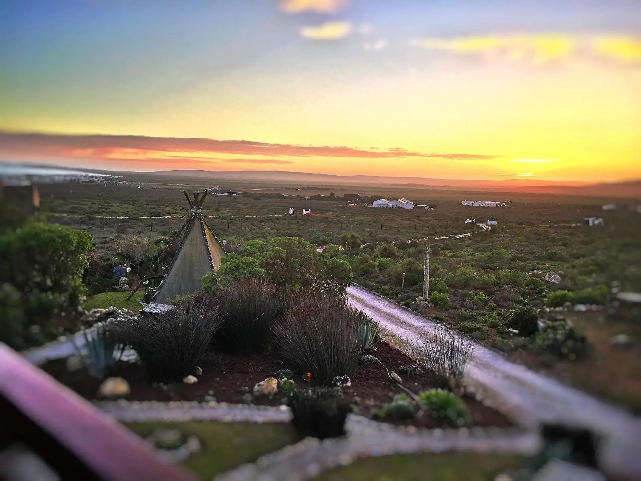 Garden view in Farr Out Guest House Garden view in Farr Out Guest House