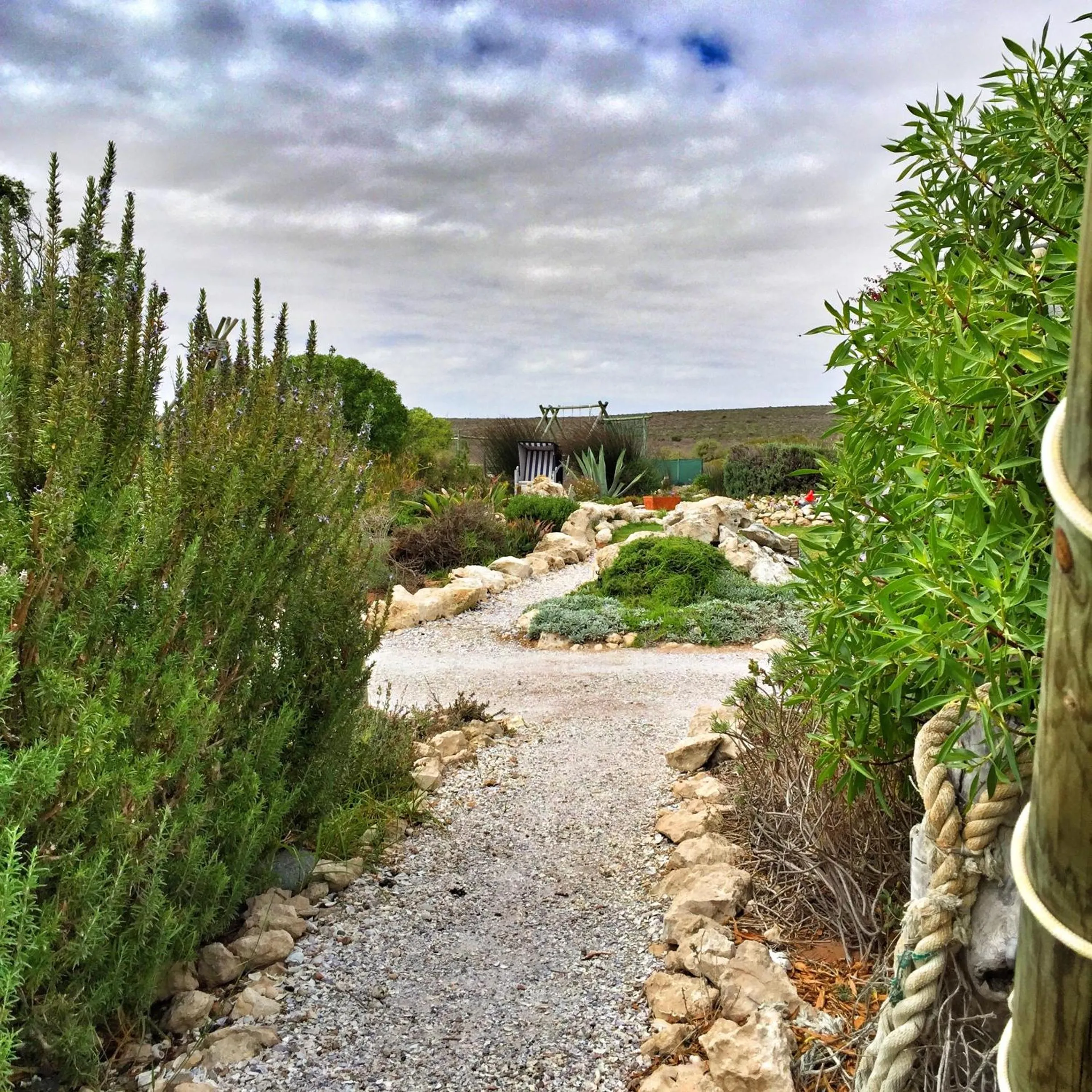 Garden in Farr Out Guest House