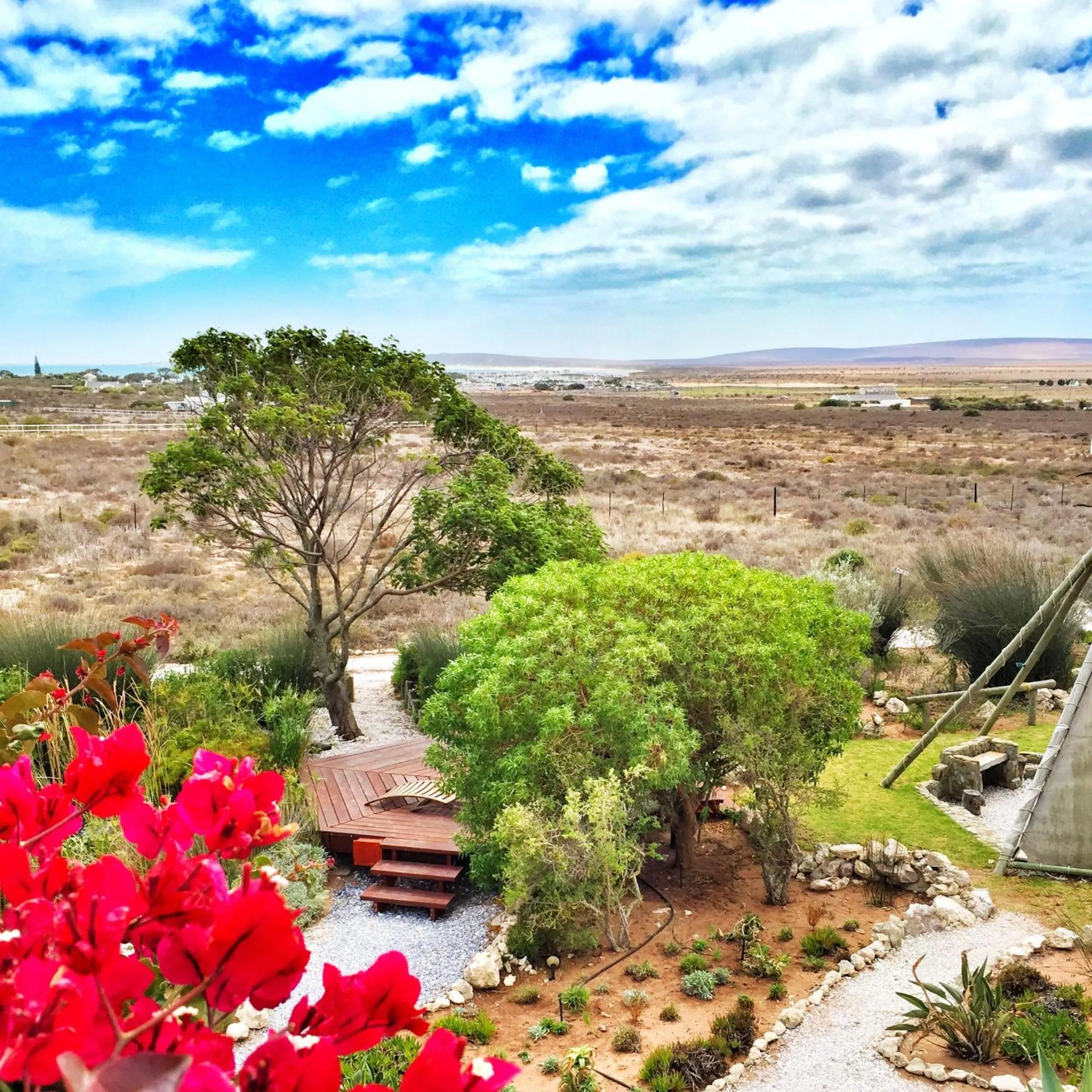 Garden in Farr Out Guest House
