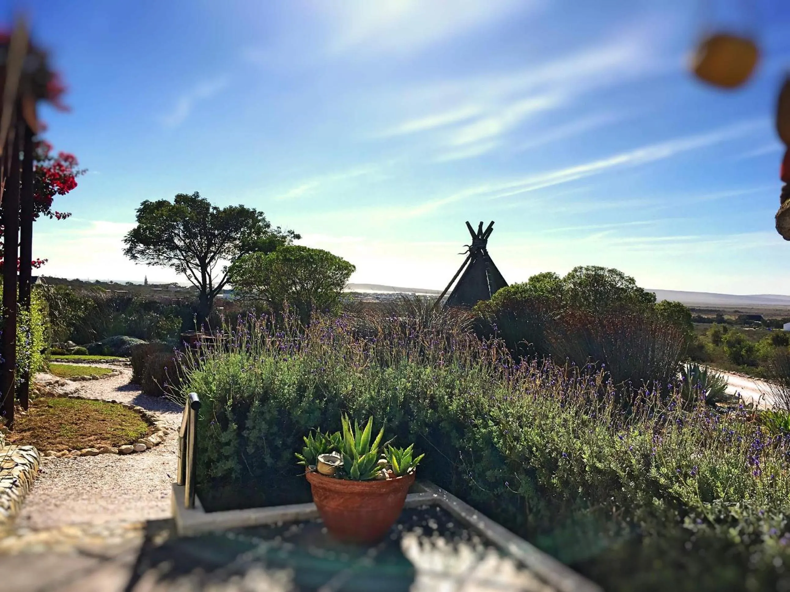 Garden in Farr Out Guest House