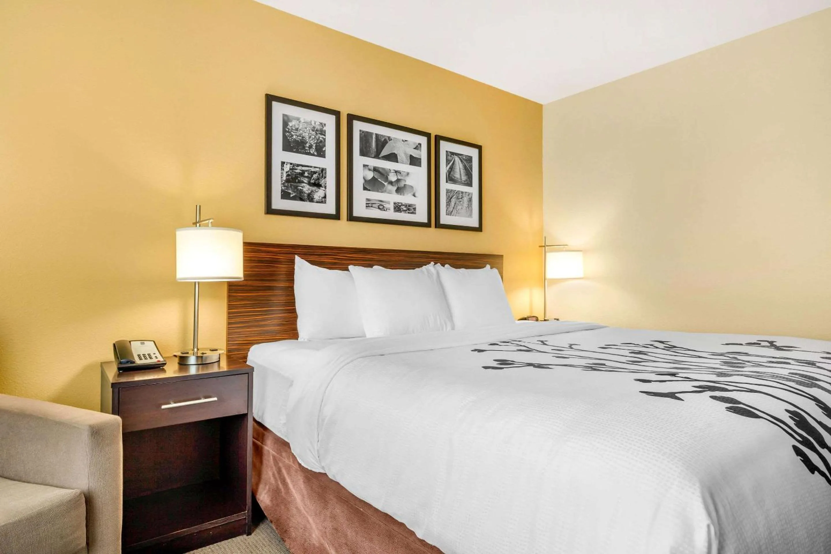 Bedroom, Bed in Sleep Inn & Suites Lincoln University Area