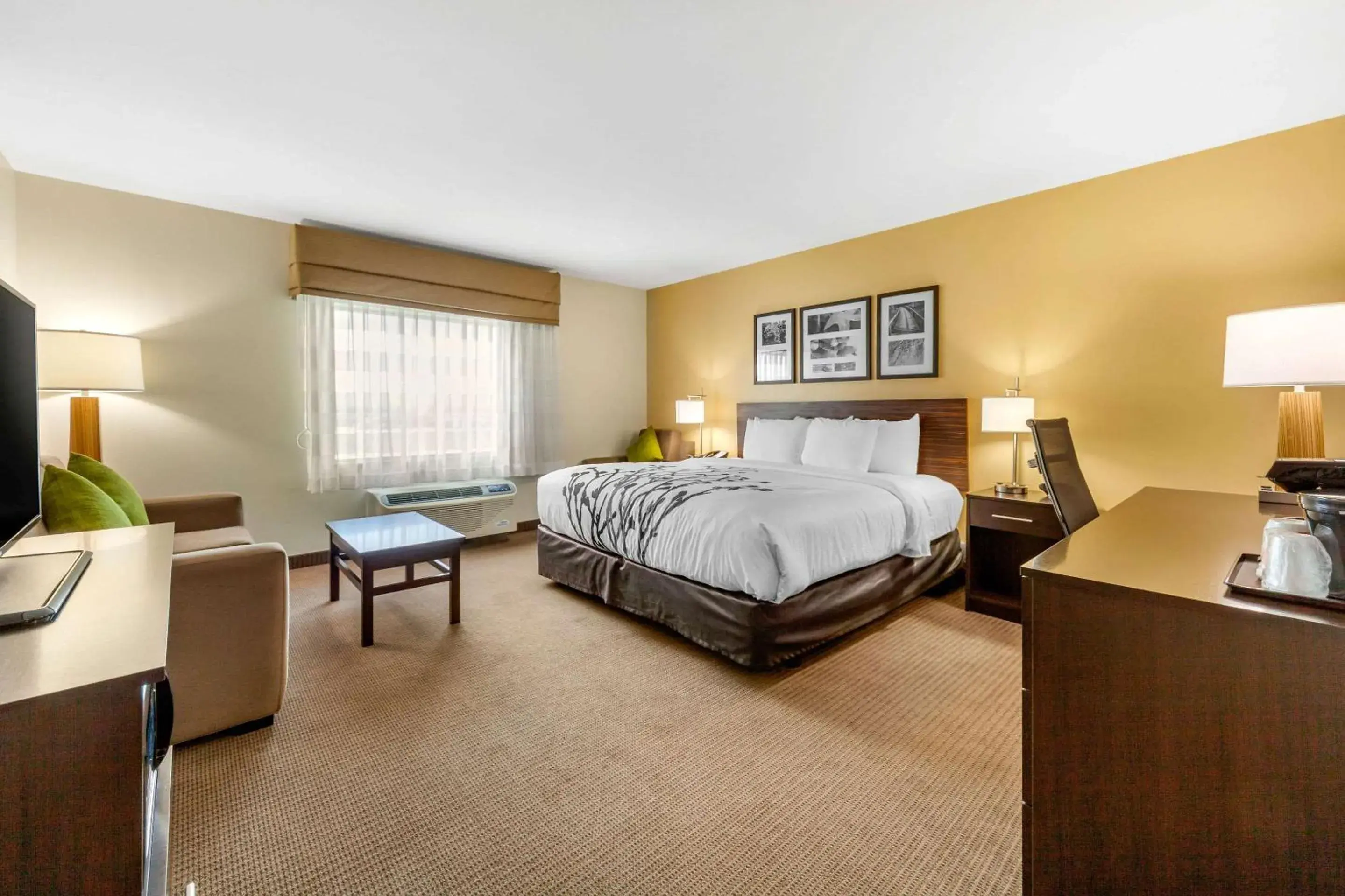 King Suite - Accessible/Non-Smoking in Sleep Inn & Suites Lincoln University Area King Suite - Accessible/Non-Smoking in Sleep Inn & Suites Lincoln University Area