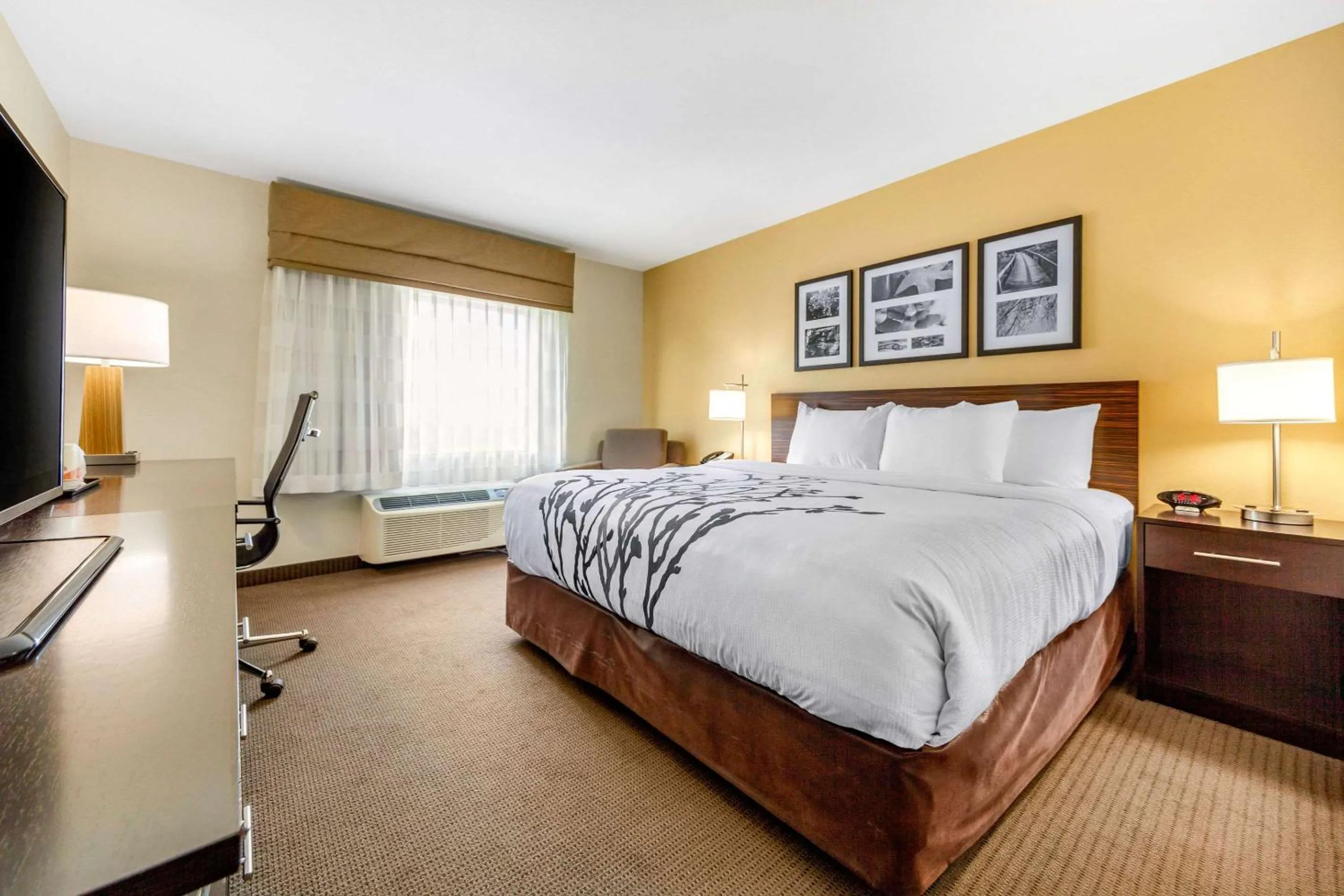 Bedroom, Bed in Sleep Inn & Suites Lincoln University Area