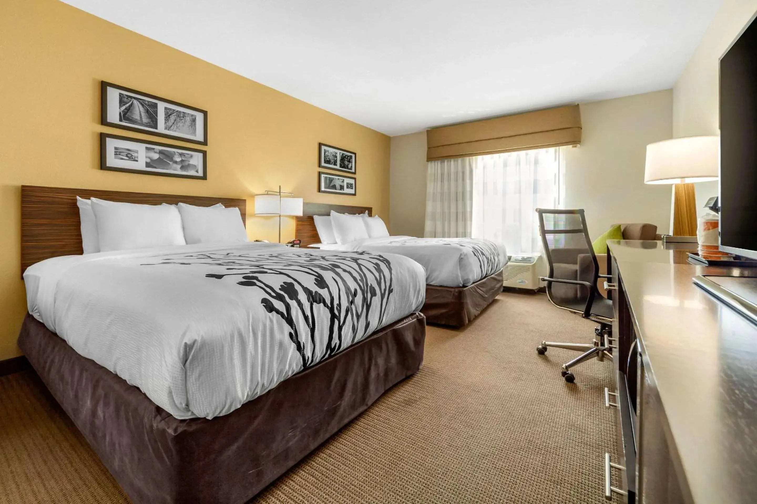 Queen Suite with Two Queen Beds - Hearing Accessible/Non-Smoking in Sleep Inn & Suites Lincoln University Area Queen Suite with Two Queen Beds - Hearing Accessible/Non-Smoking in Sleep Inn & Suites Lincoln University Area