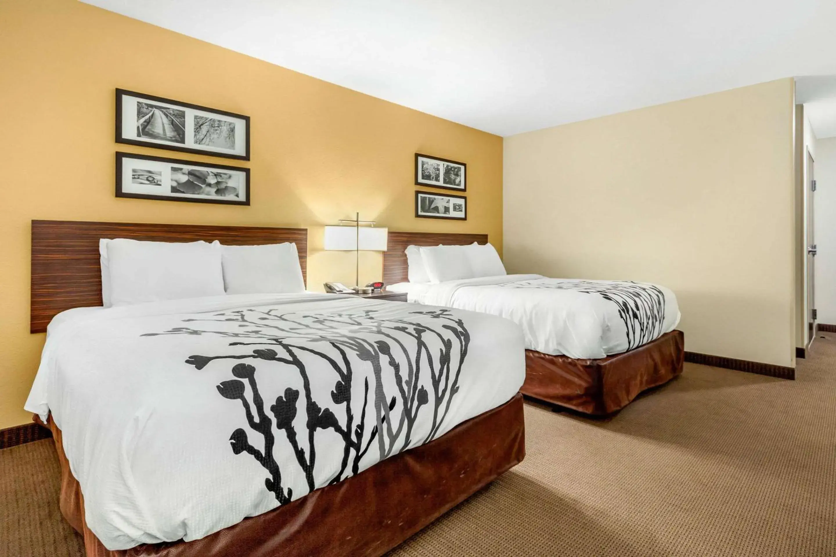 Bedroom, Bed in Sleep Inn & Suites Lincoln University Area Bedroom, Bed in Sleep Inn & Suites Lincoln University Area