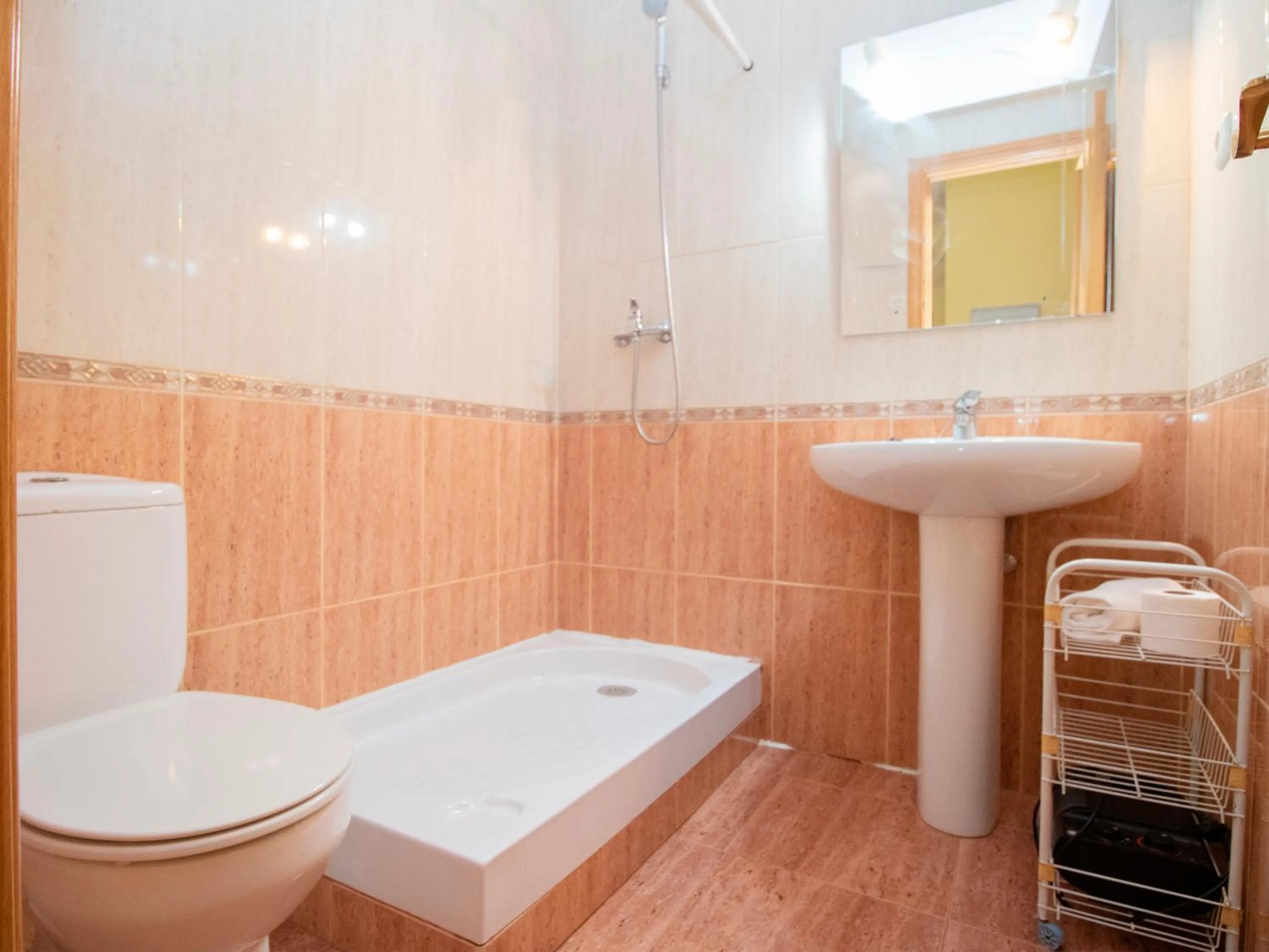 Shower in Apartamentos Canfranc 3000
