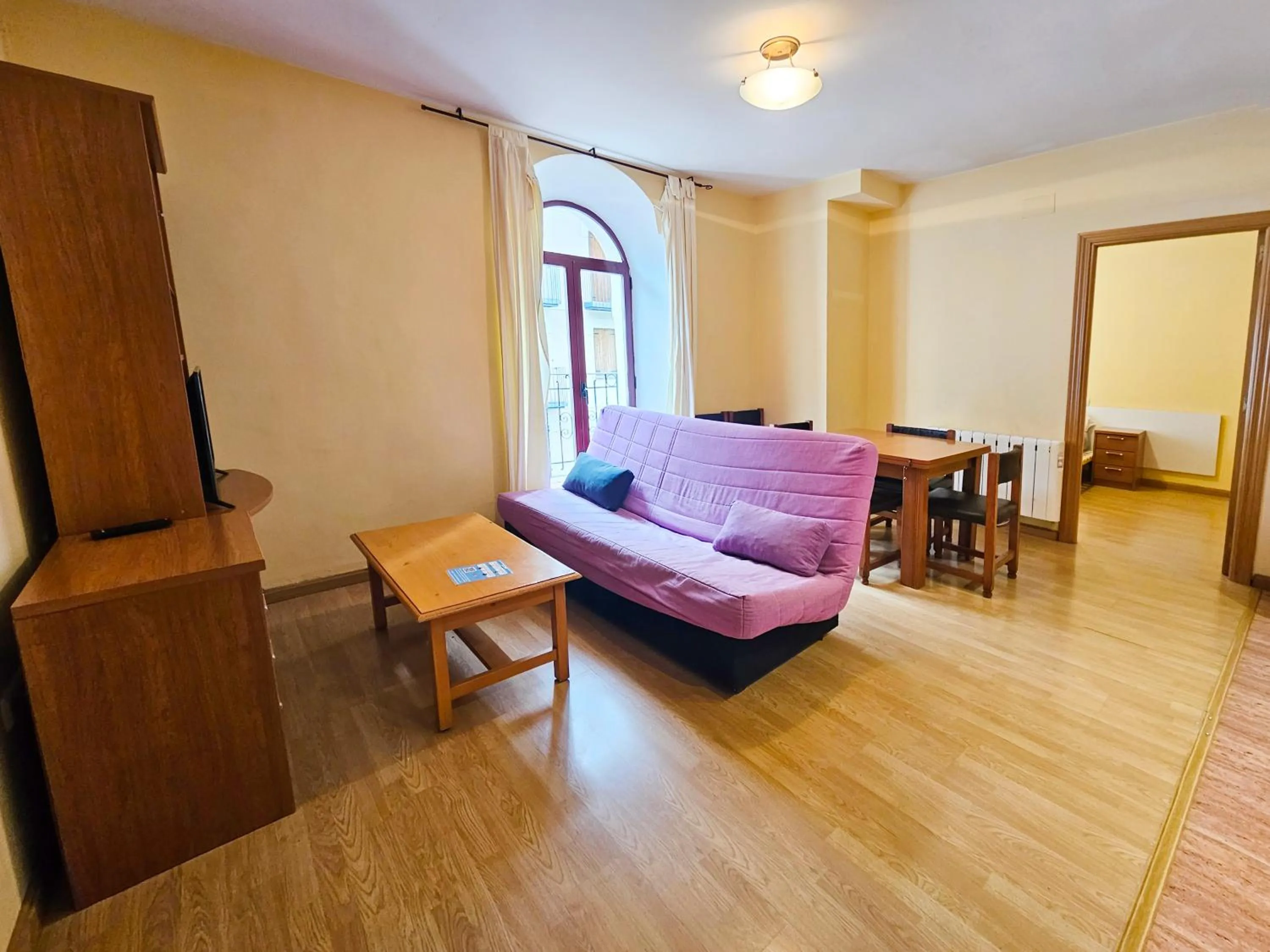 Living room, Bed in Apartamentos Canfranc 3000