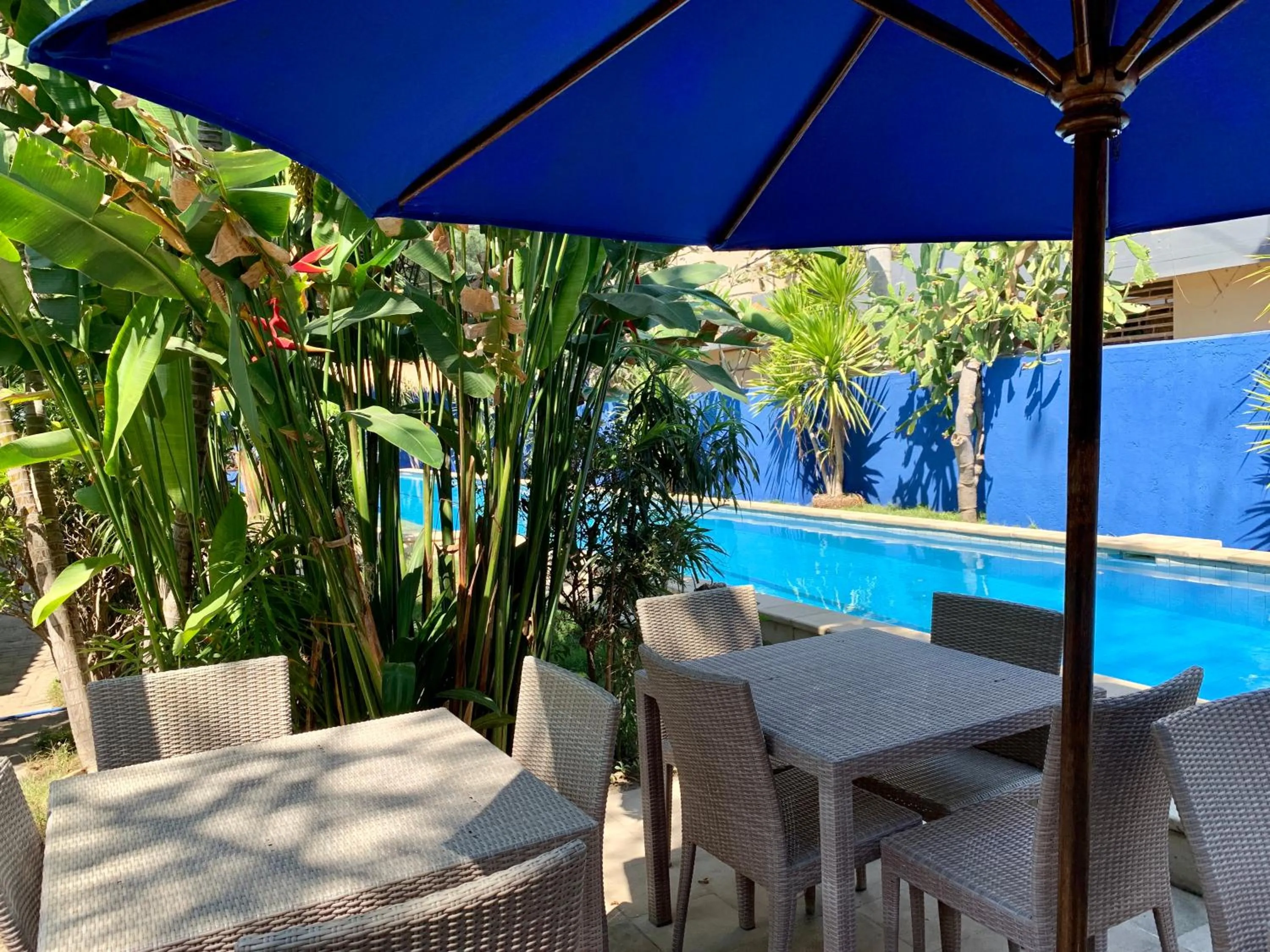 Pool view in The Yoga Garden