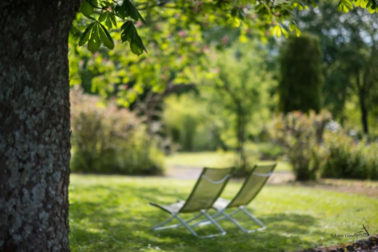 View (from property/room) in Les Chambres du Vivier, chambres d'hôtes à Durbuy