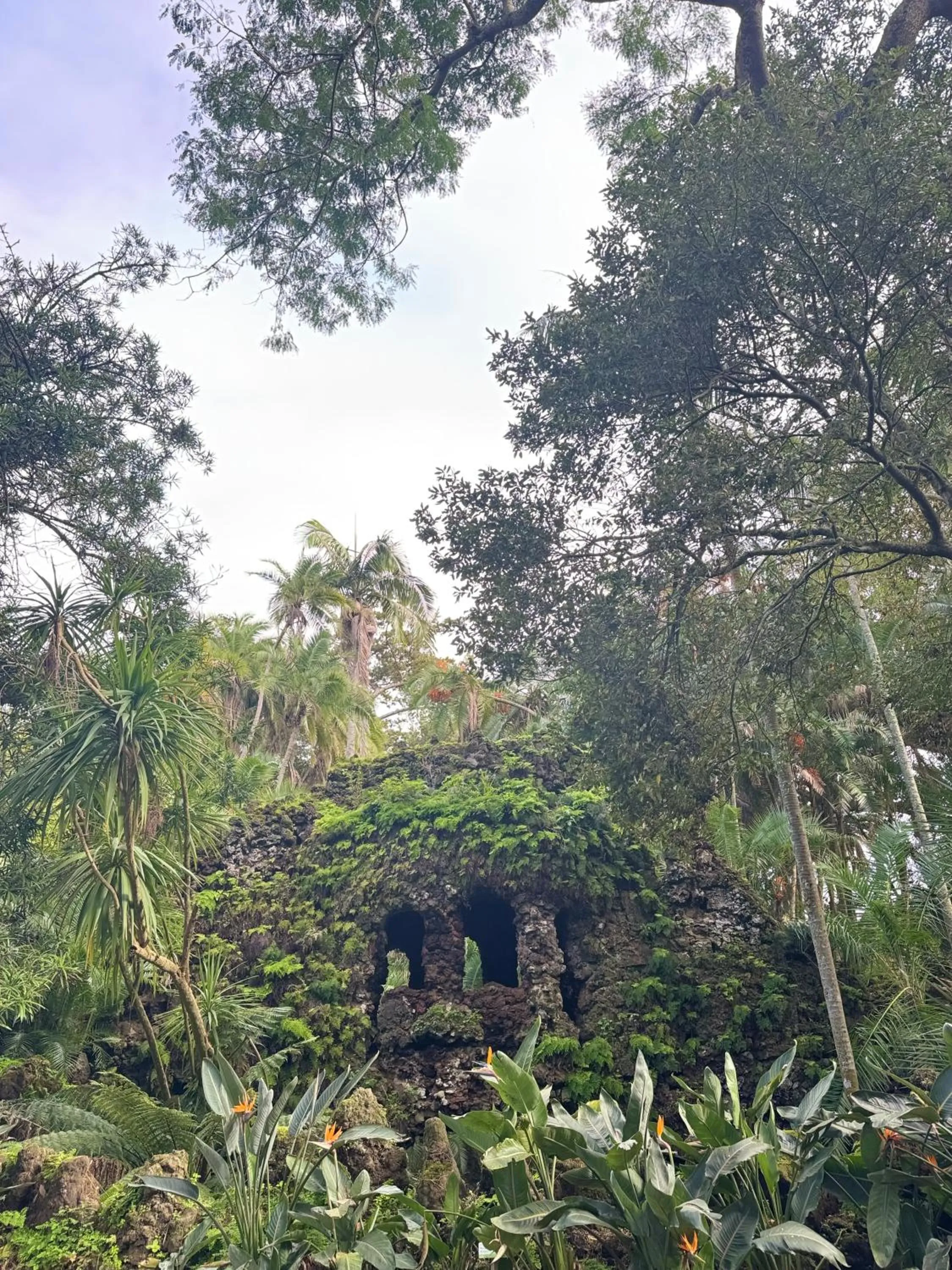 Garden Apartment, great for couple - Ponta Delgada