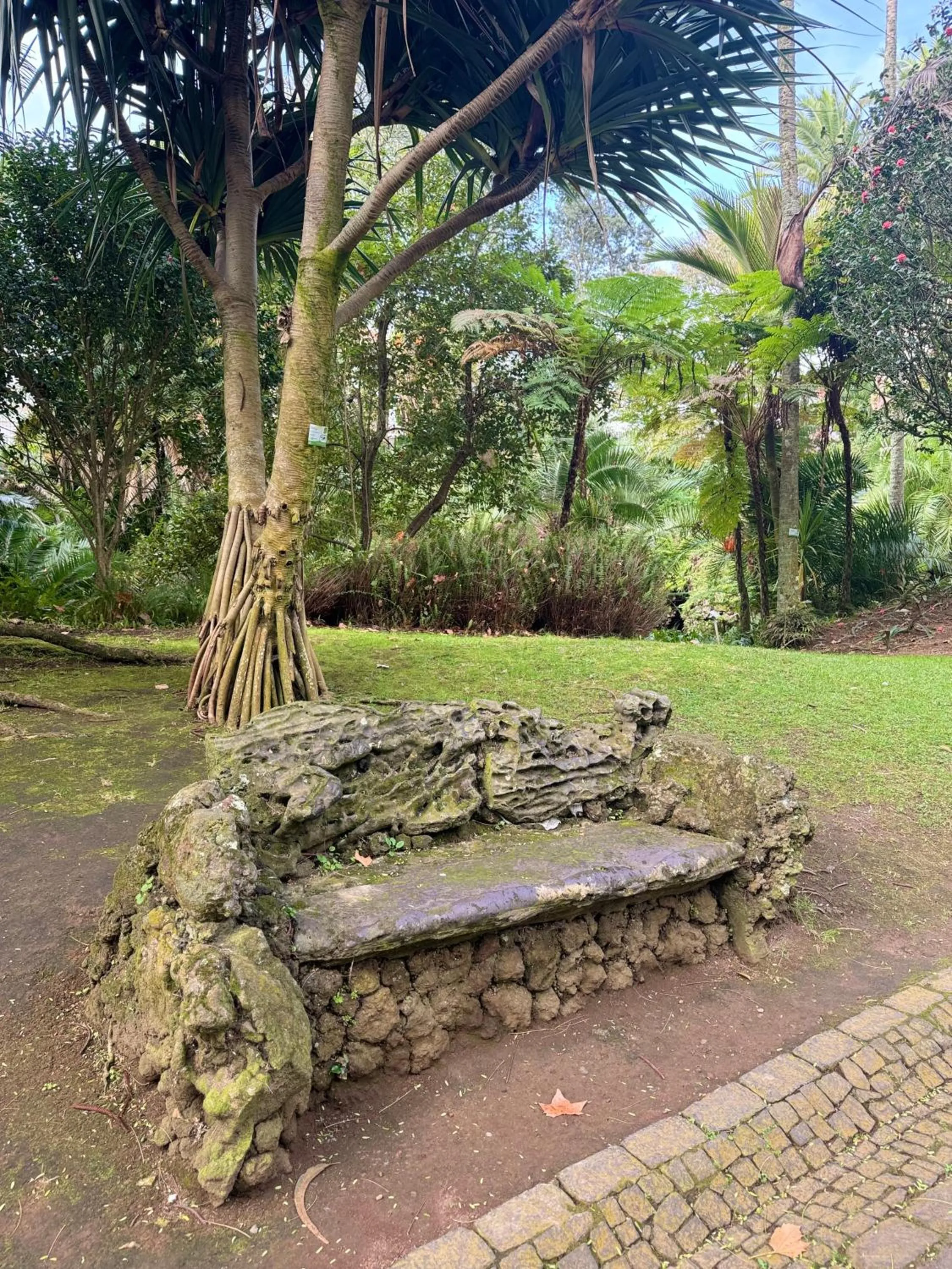 Garden Apartment, great for couple - Ponta Delgada