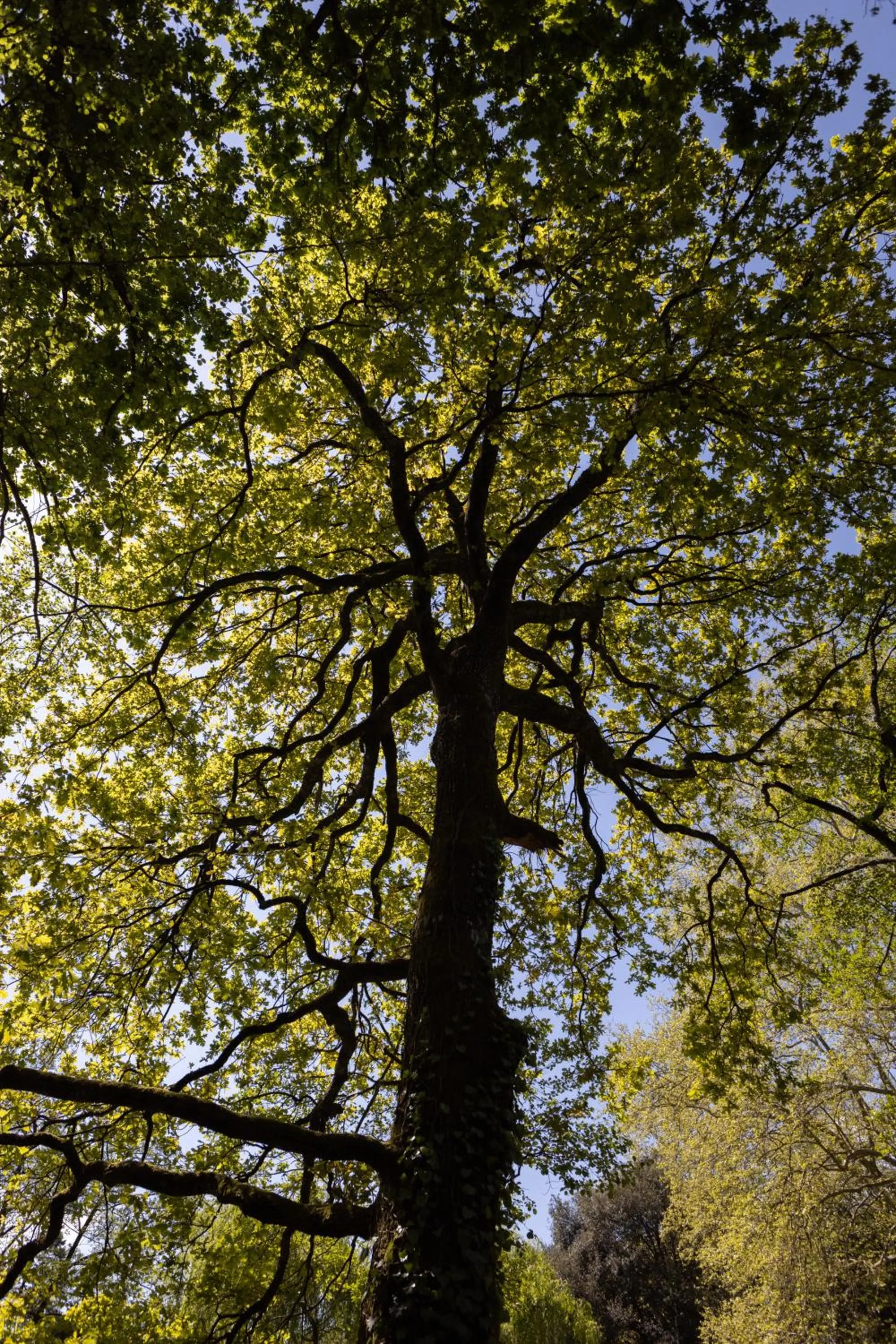 Natural landscape in Il Casale Di Villa Rossi