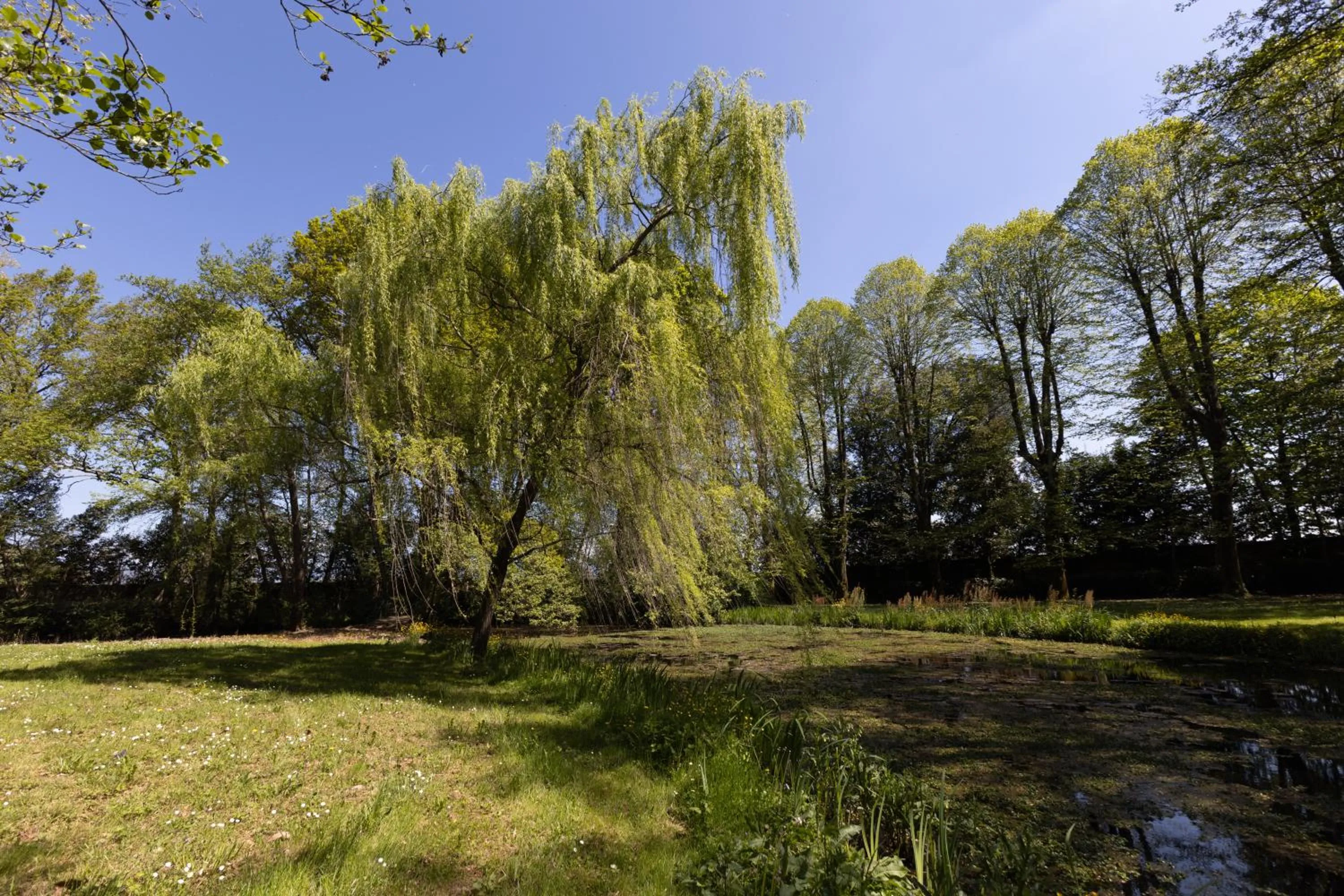Natural landscape in Il Casale Di Villa Rossi