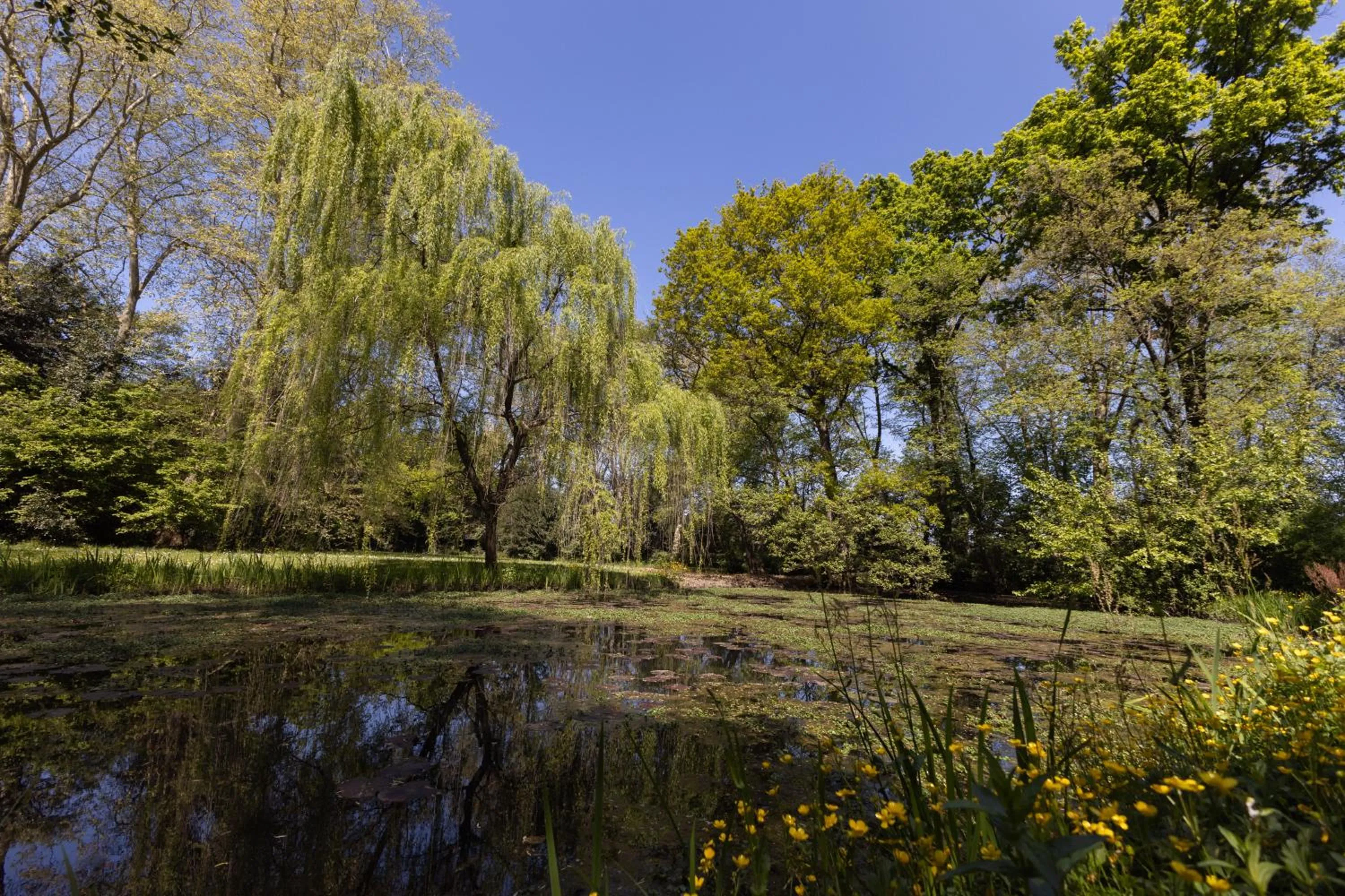 Natural landscape in Il Casale Di Villa Rossi
