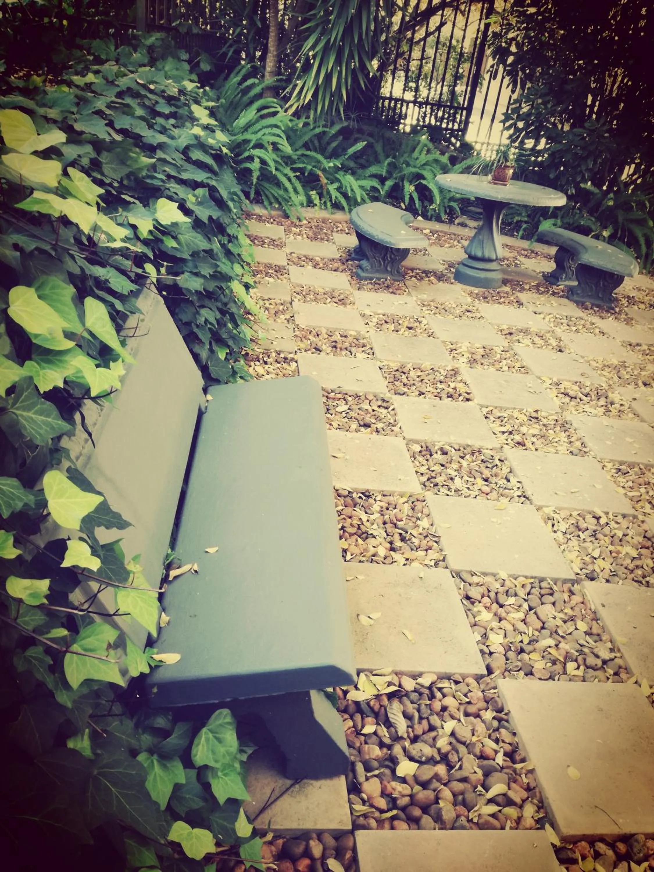 Garden in Belmont Guesthouse