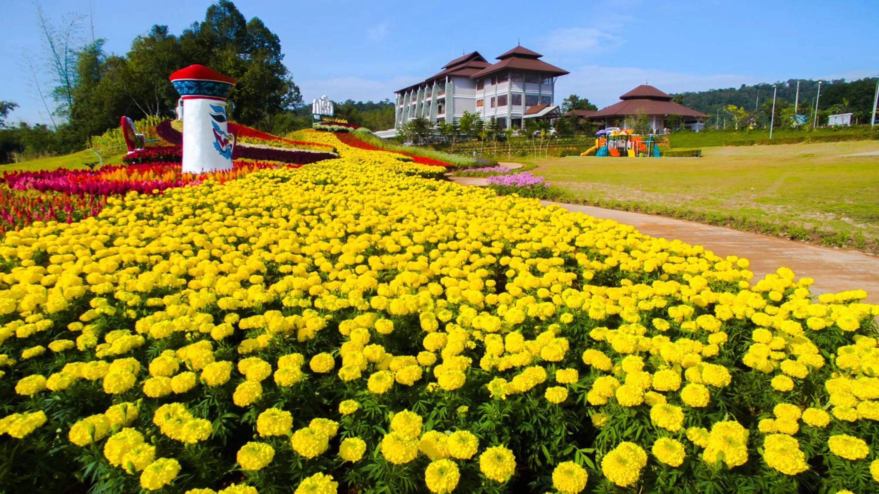 View (from property/room) in Phurua Sanctuary Resort and Spa