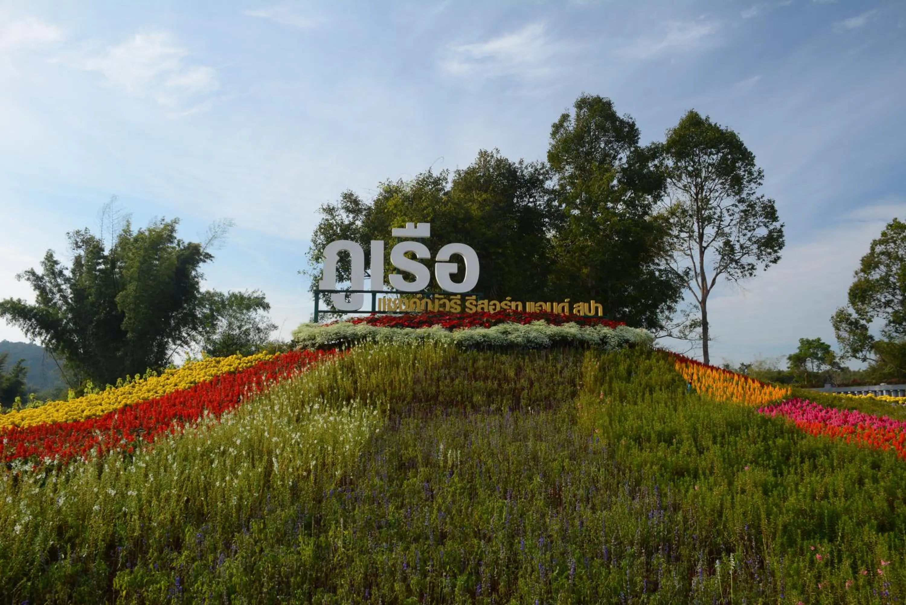 View (from property/room) in Phurua Sanctuary Resort and Spa