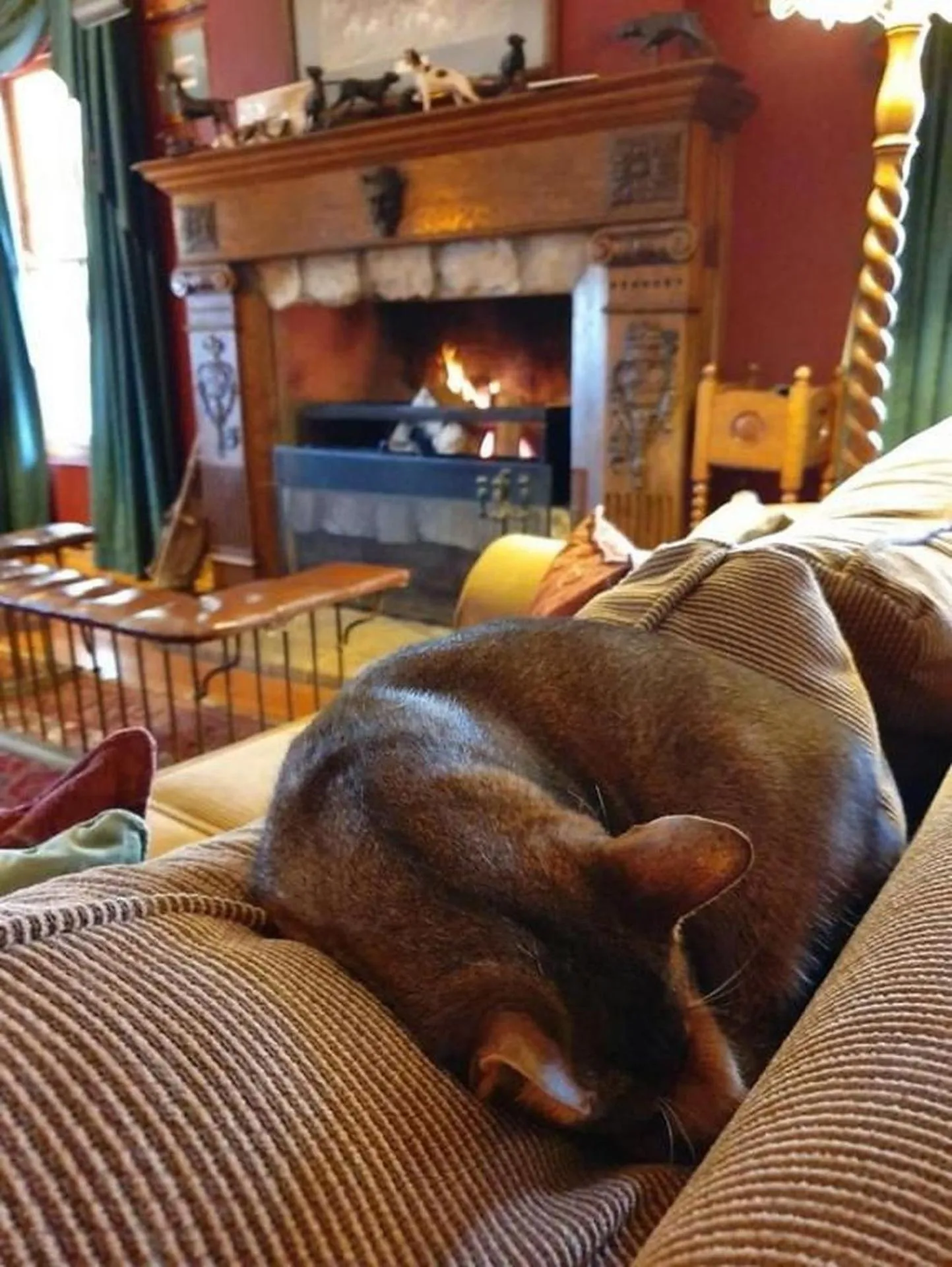 Pets in The FarSide Country Manor