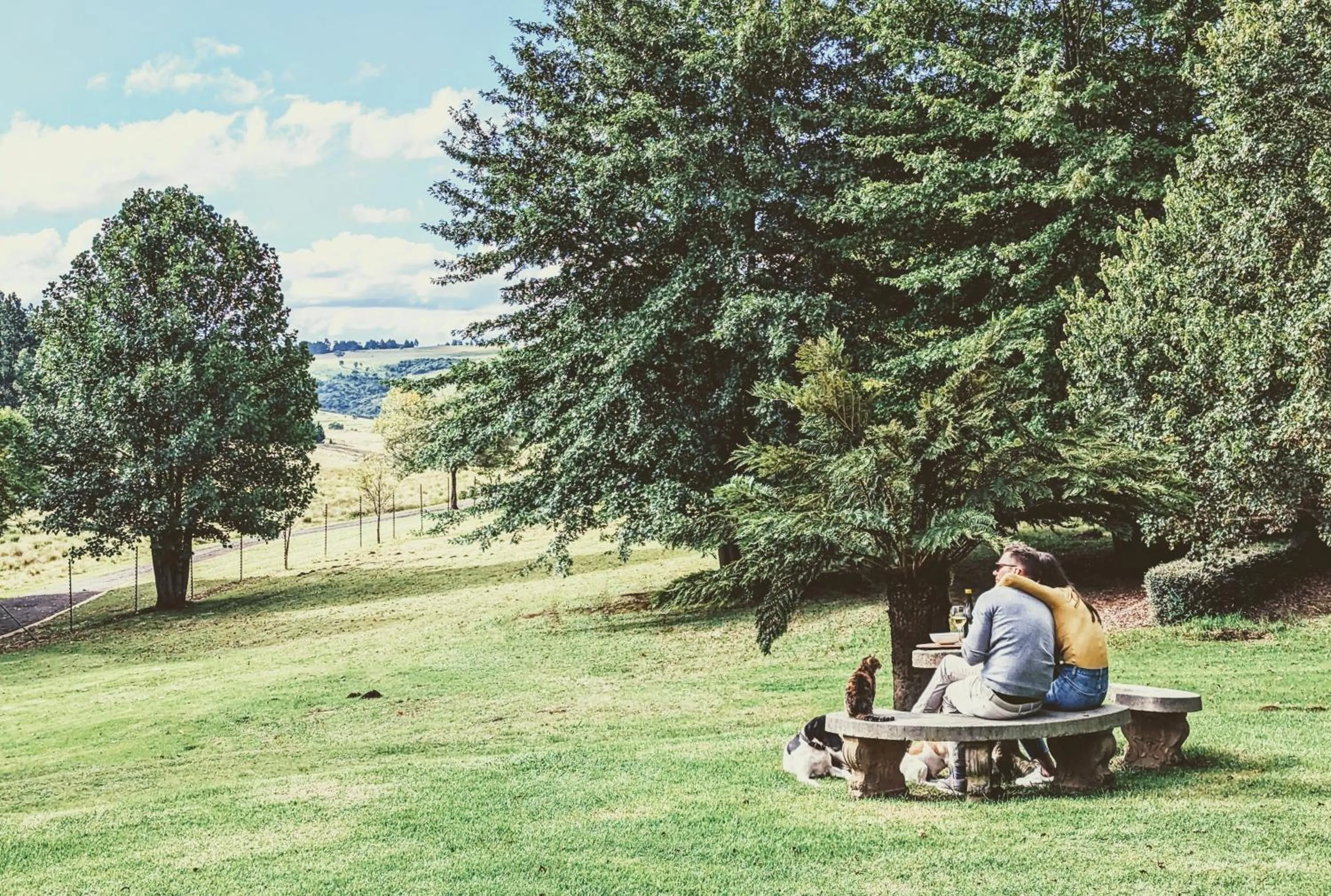 View (from property/room) in The FarSide Country Manor