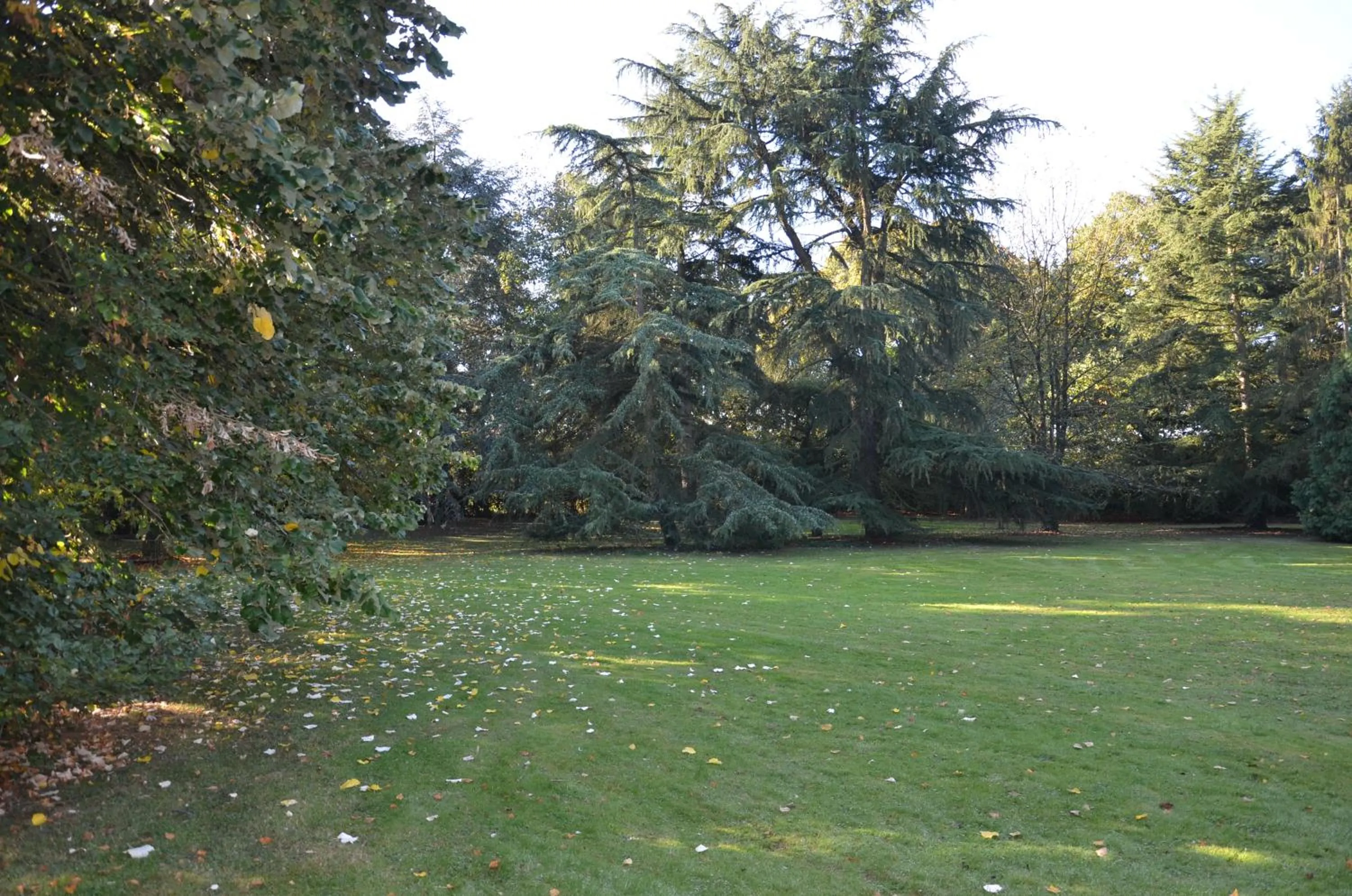 Garden in La Sévinais