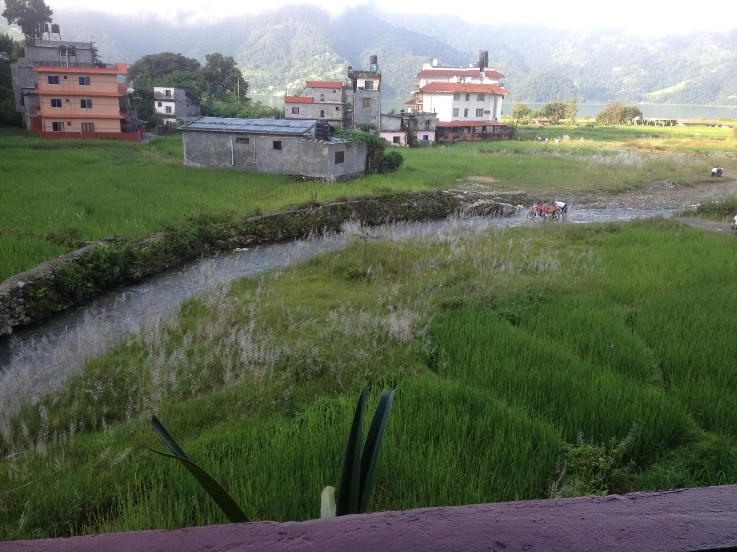 Bishnu Homestay