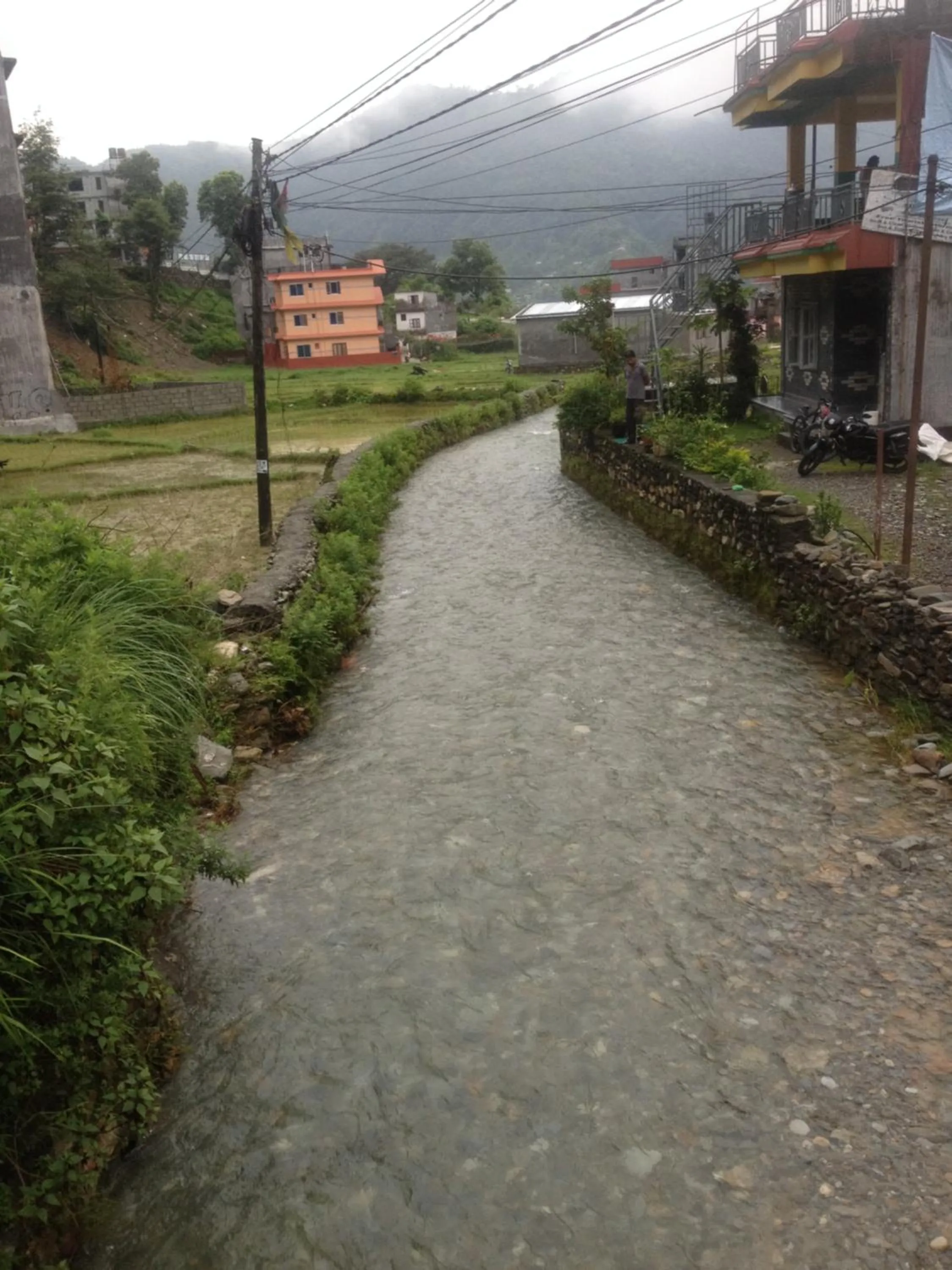 River view in Bishnu Homestay