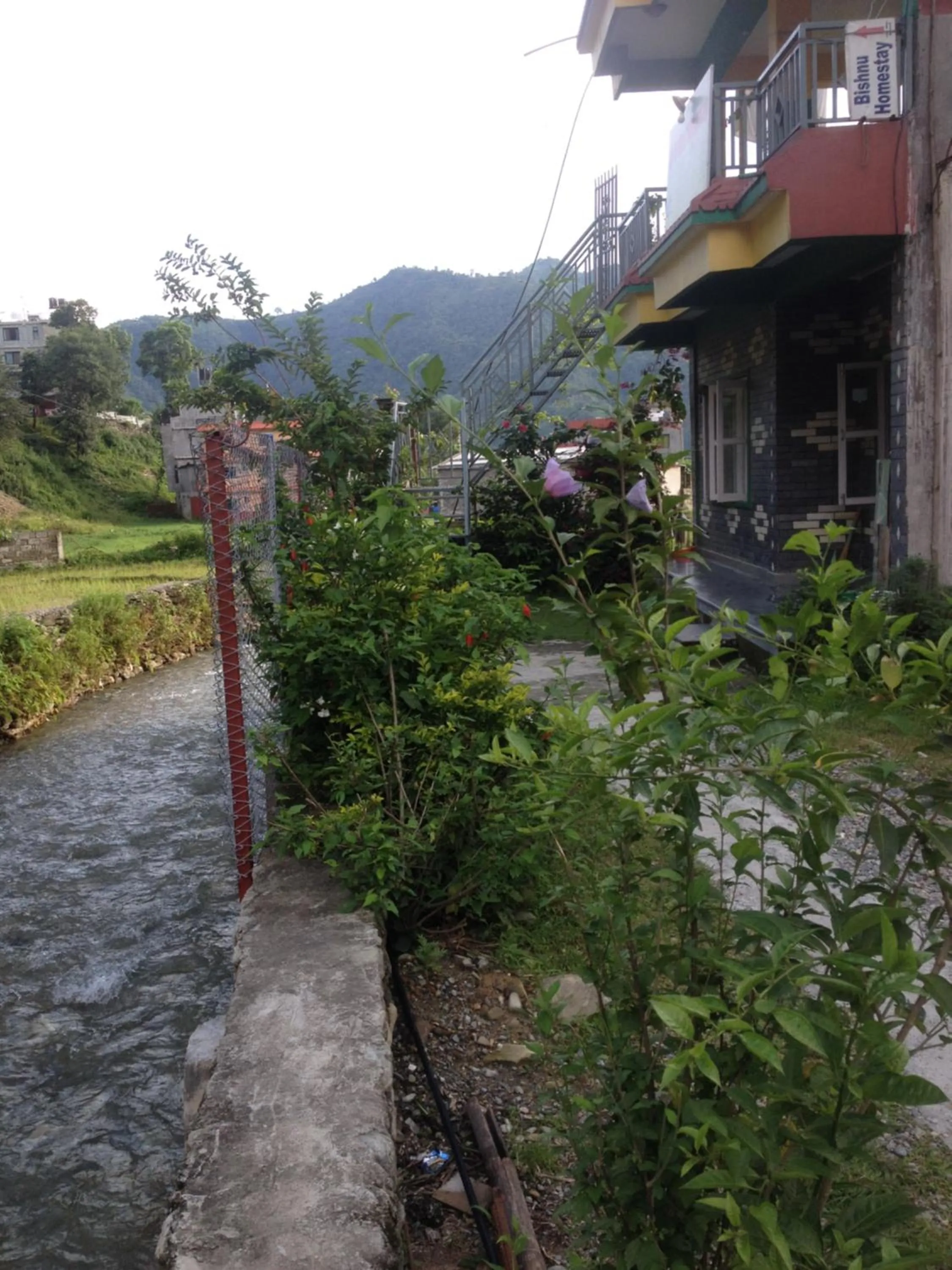 River view in Bishnu Homestay